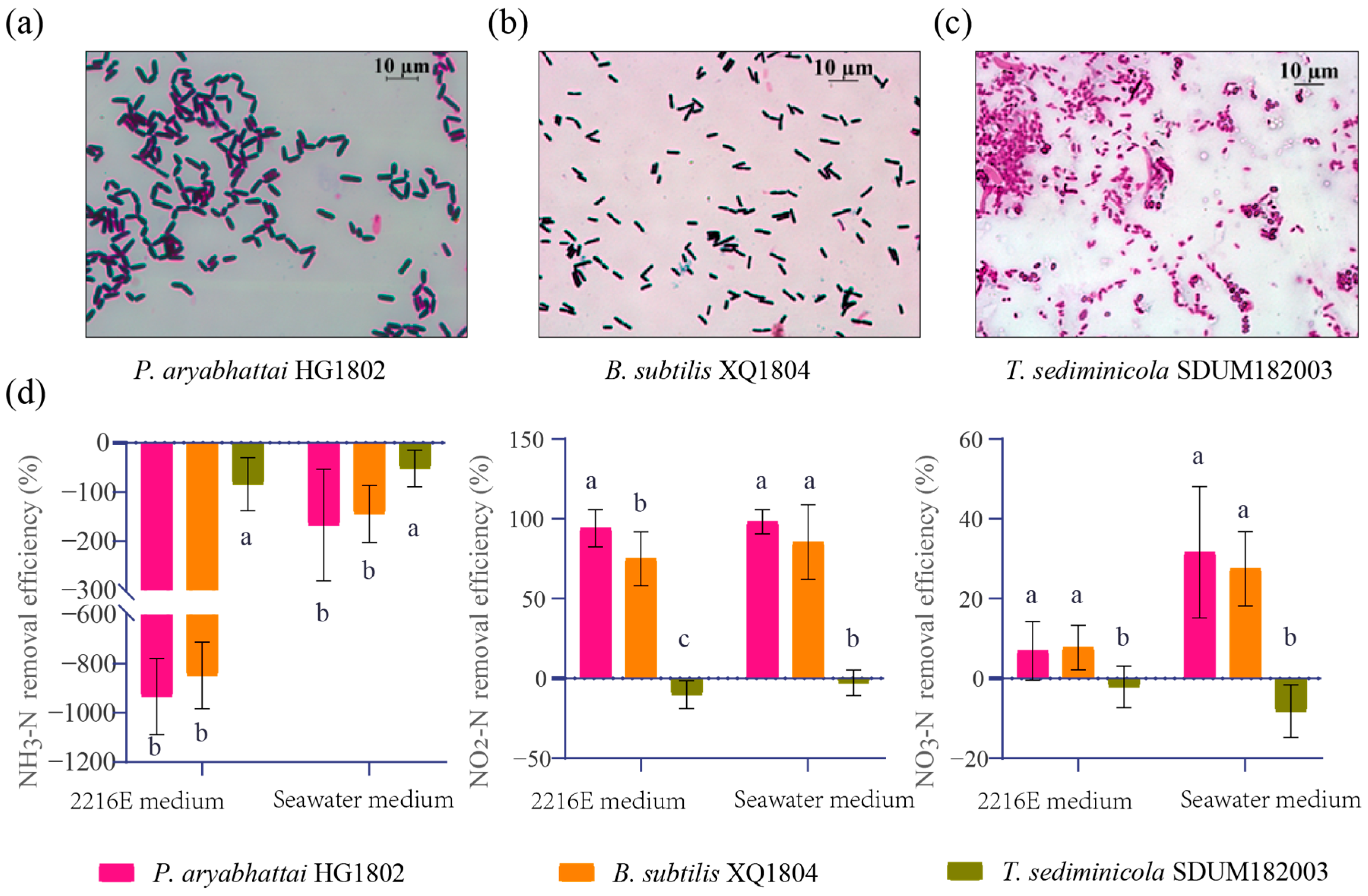 Microorganisms 13 00466 g004