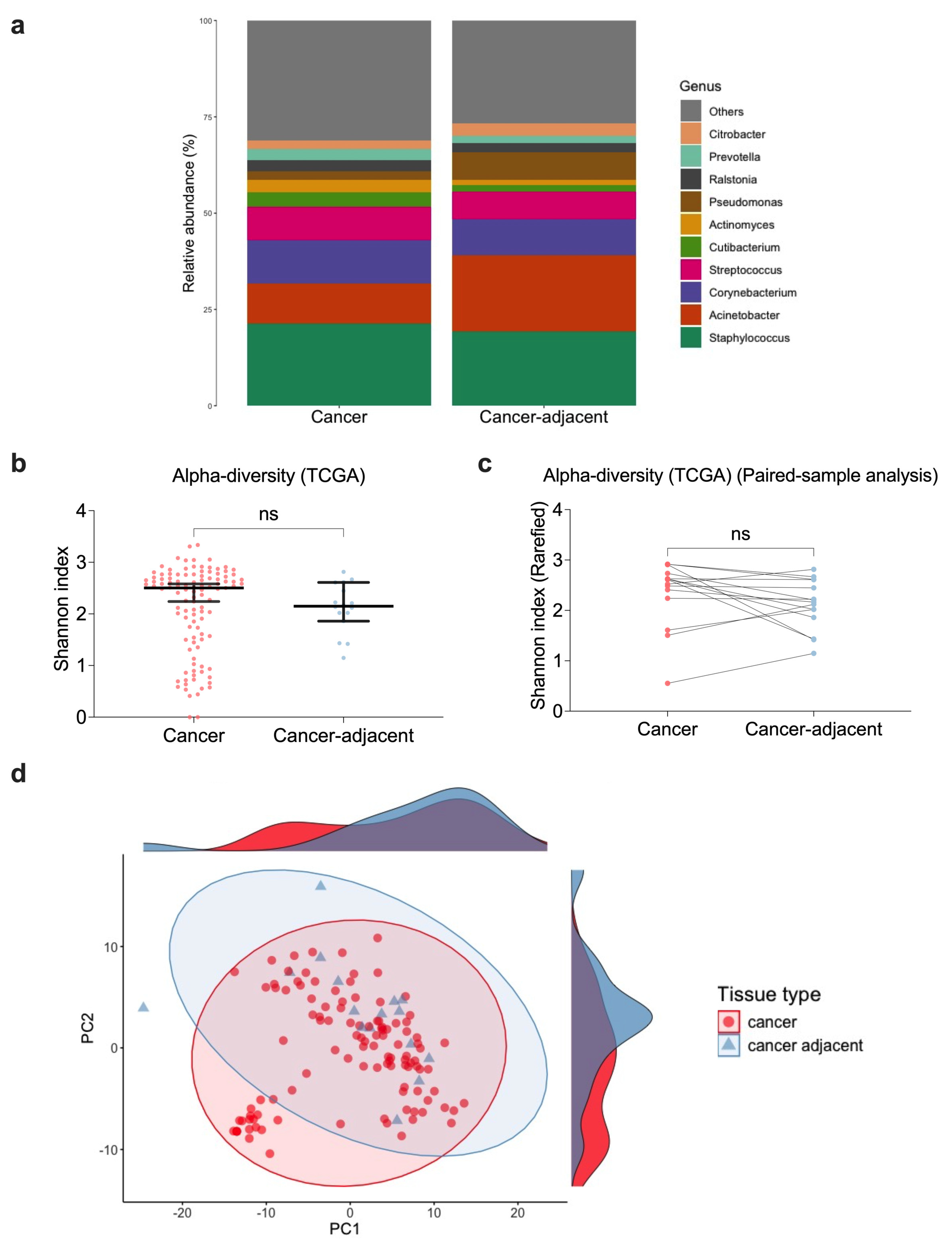 Microorganisms 13 00467 g004