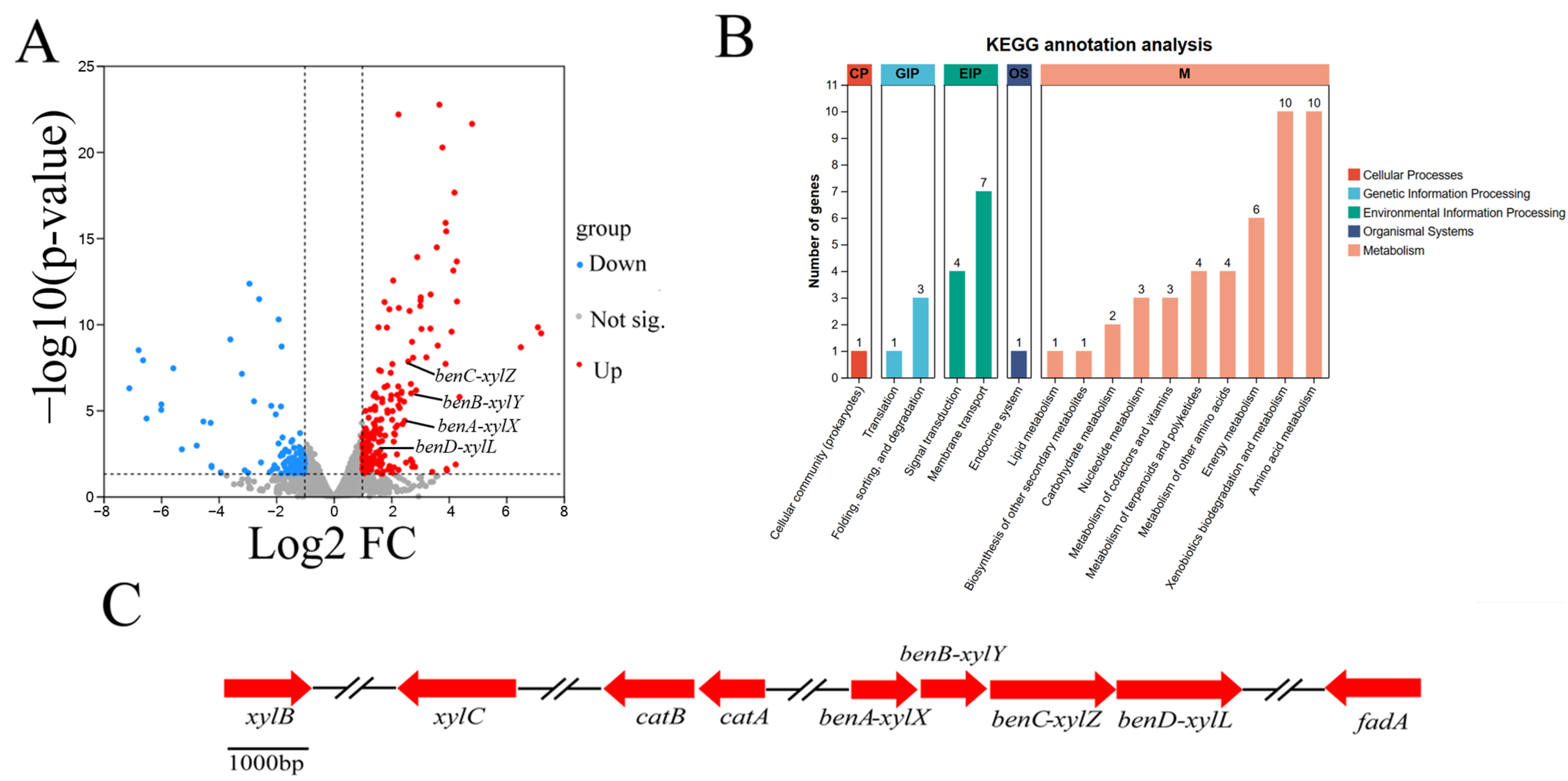 Microorganisms 13 00468 g005
