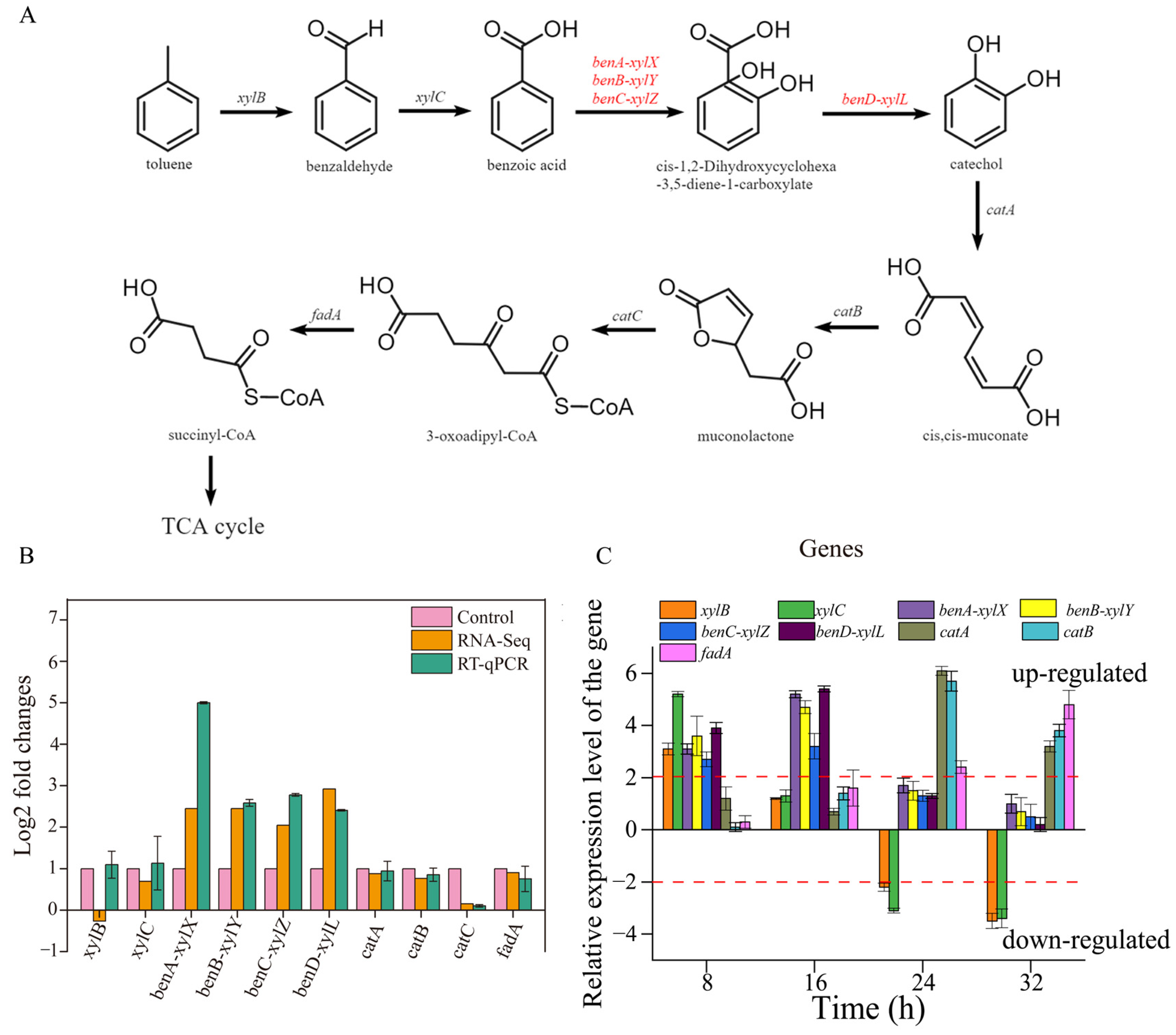 Microorganisms 13 00468 g006