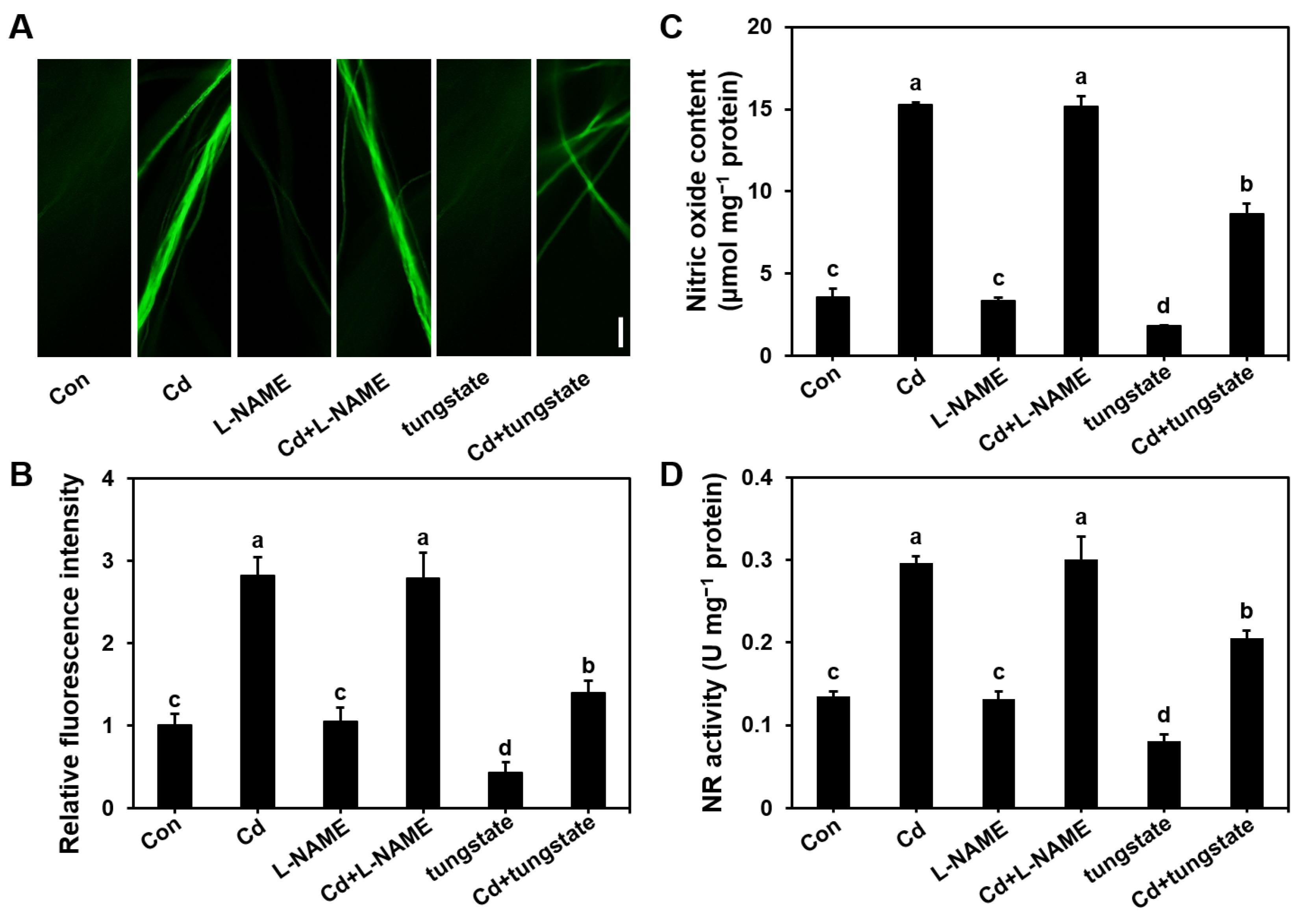 Microorganisms 13 00470 g003