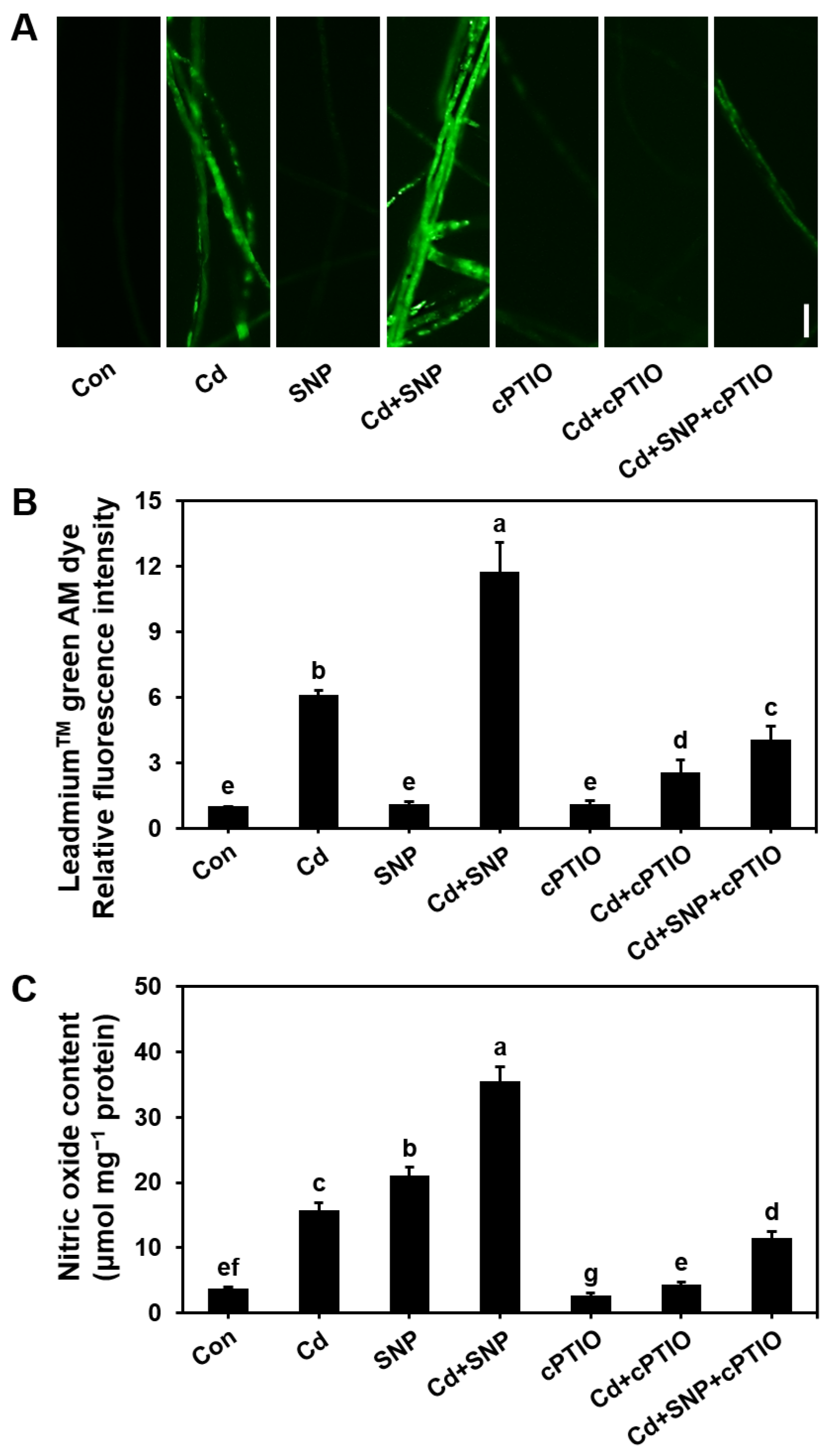 Microorganisms 13 00470 g004