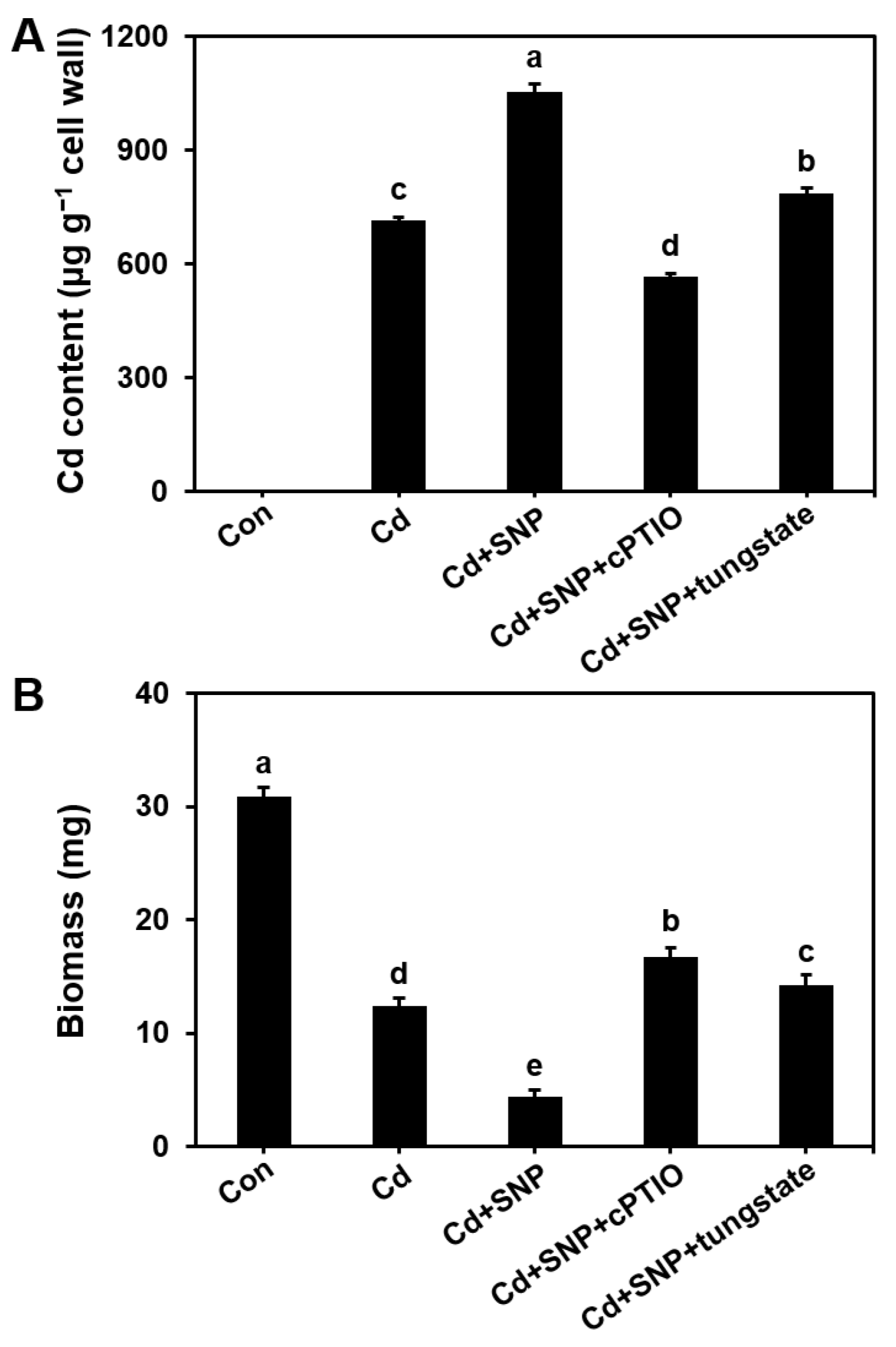 Microorganisms 13 00470 g006