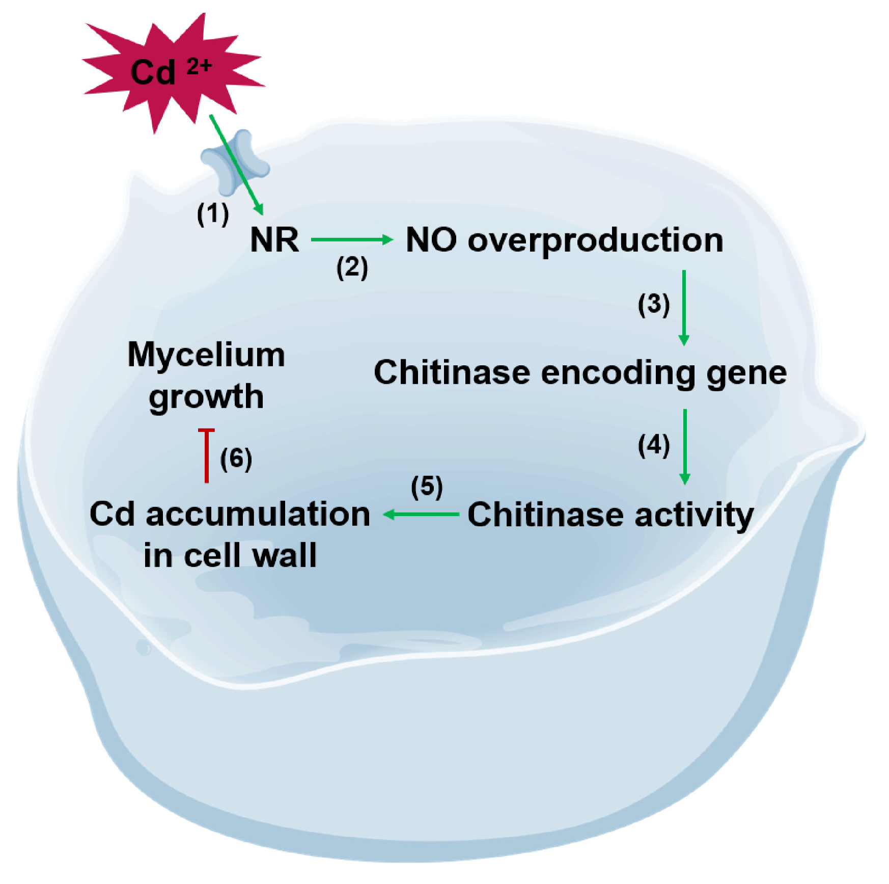 Microorganisms 13 00470 g007