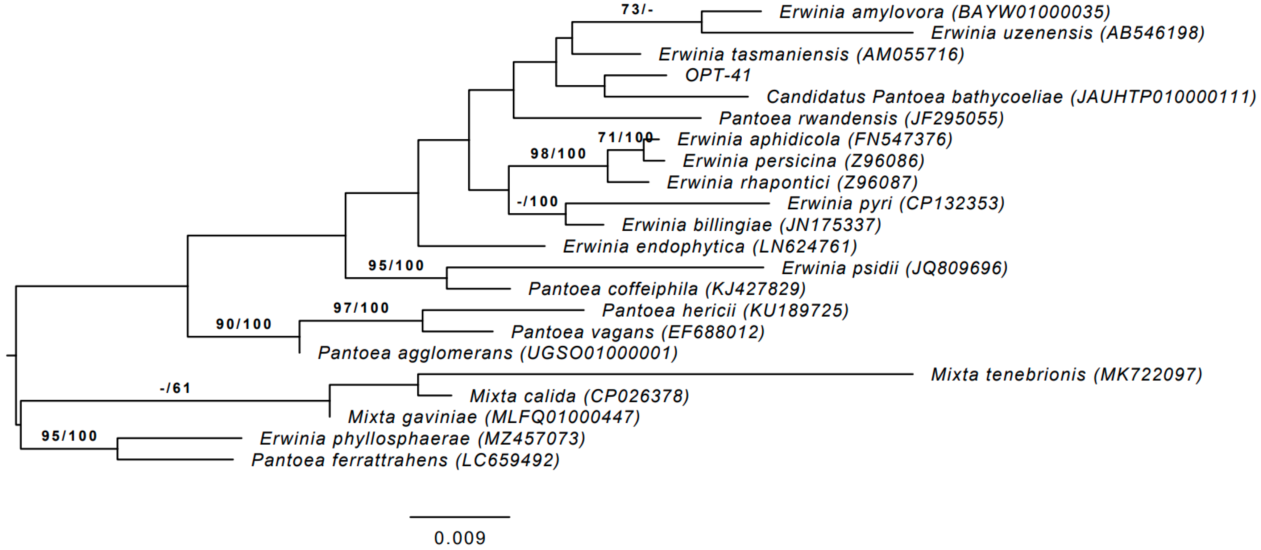Microorganisms 13 00474 g001 Microorganisms 13 00474 g001