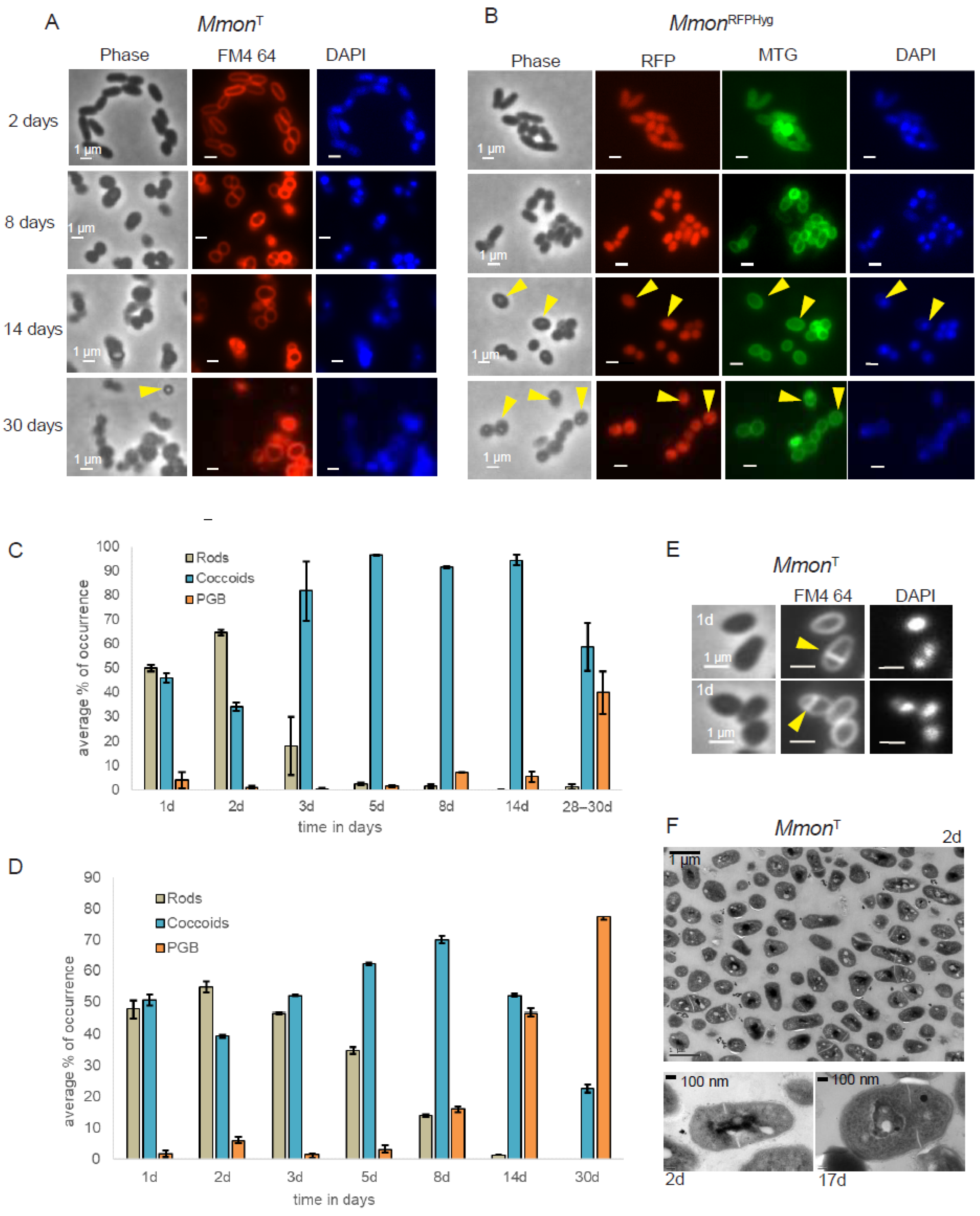 Microorganisms 13 00475 g002