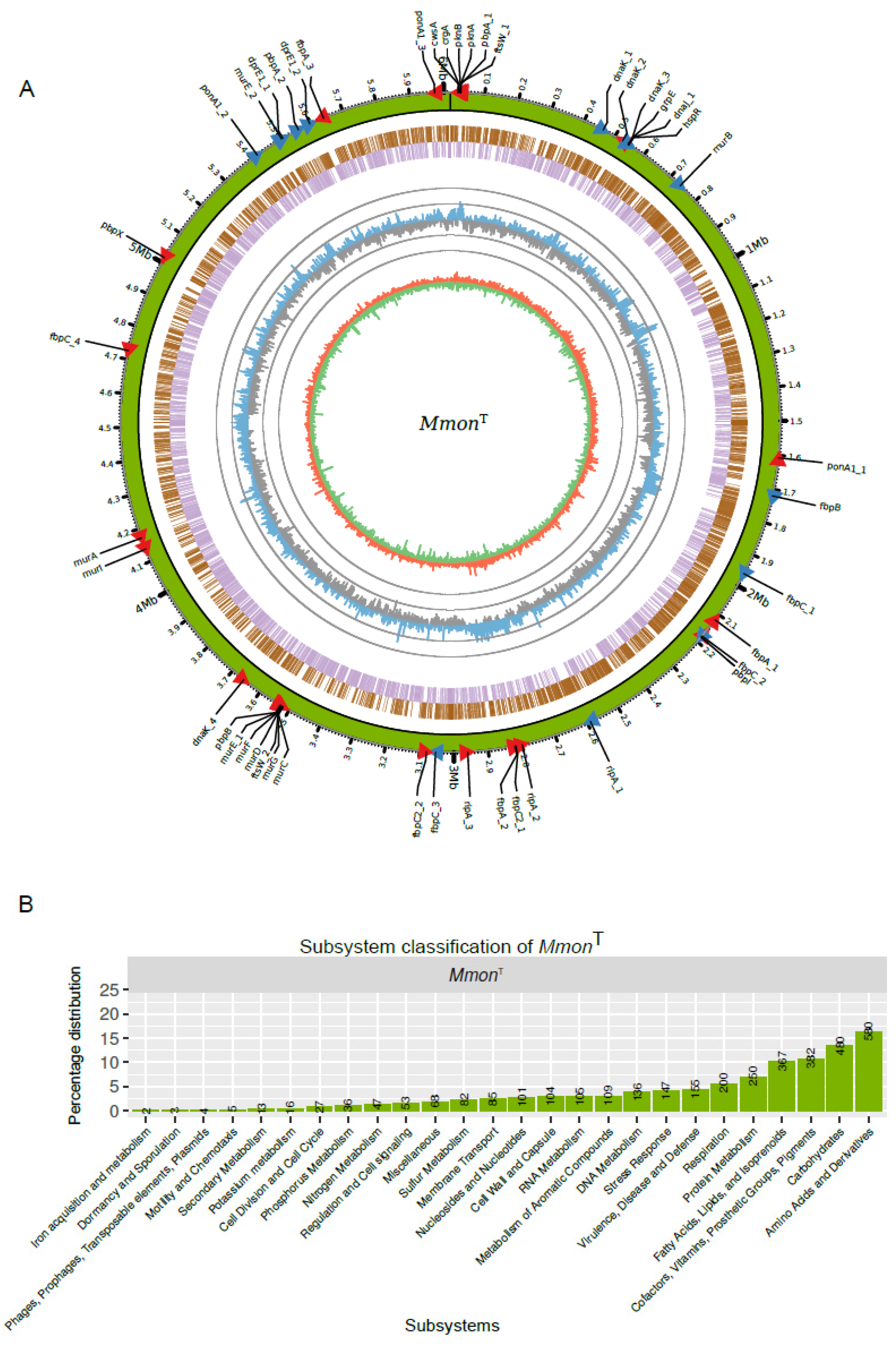 Microorganisms 13 00475 g004