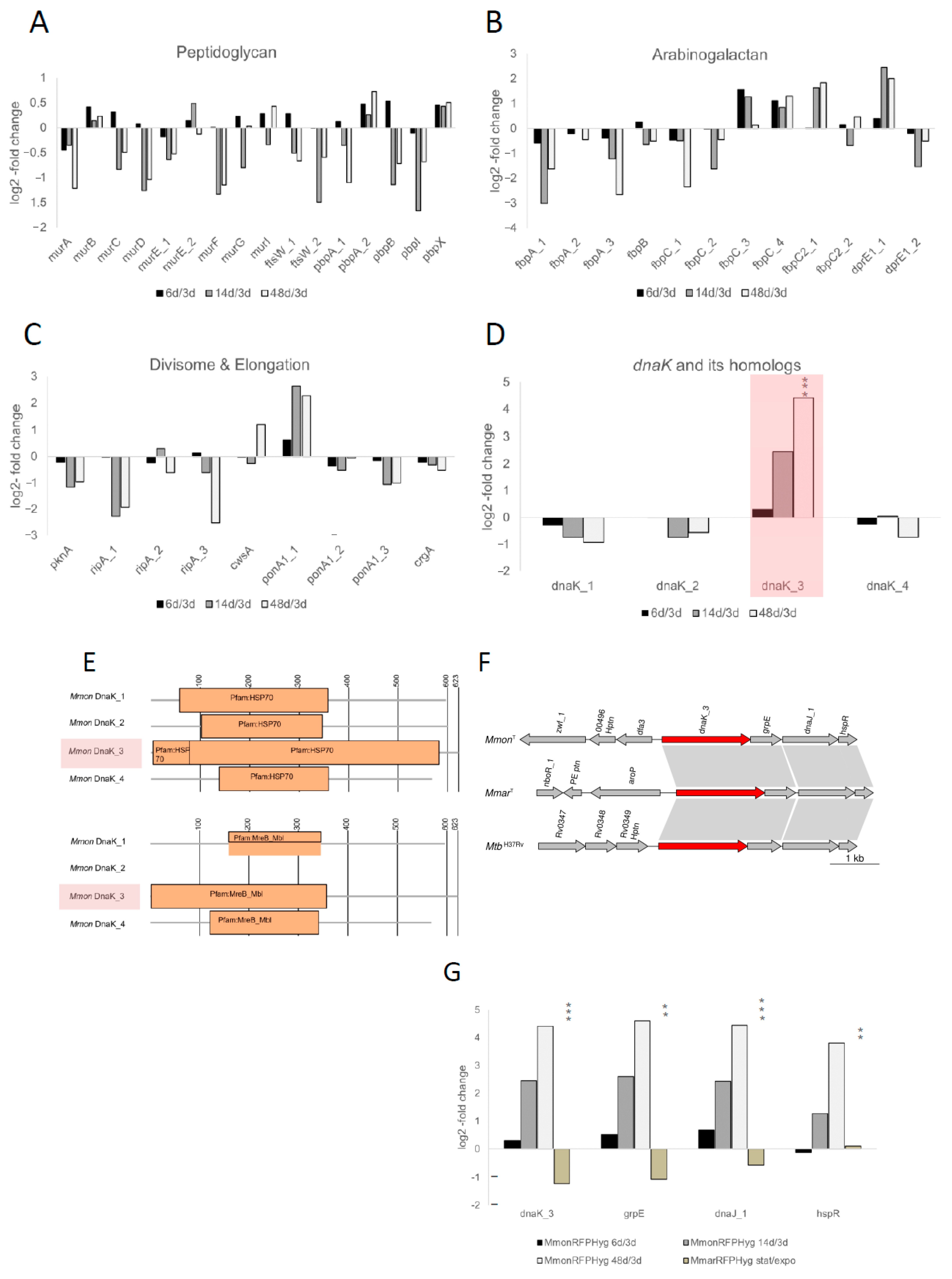 Microorganisms 13 00475 g005