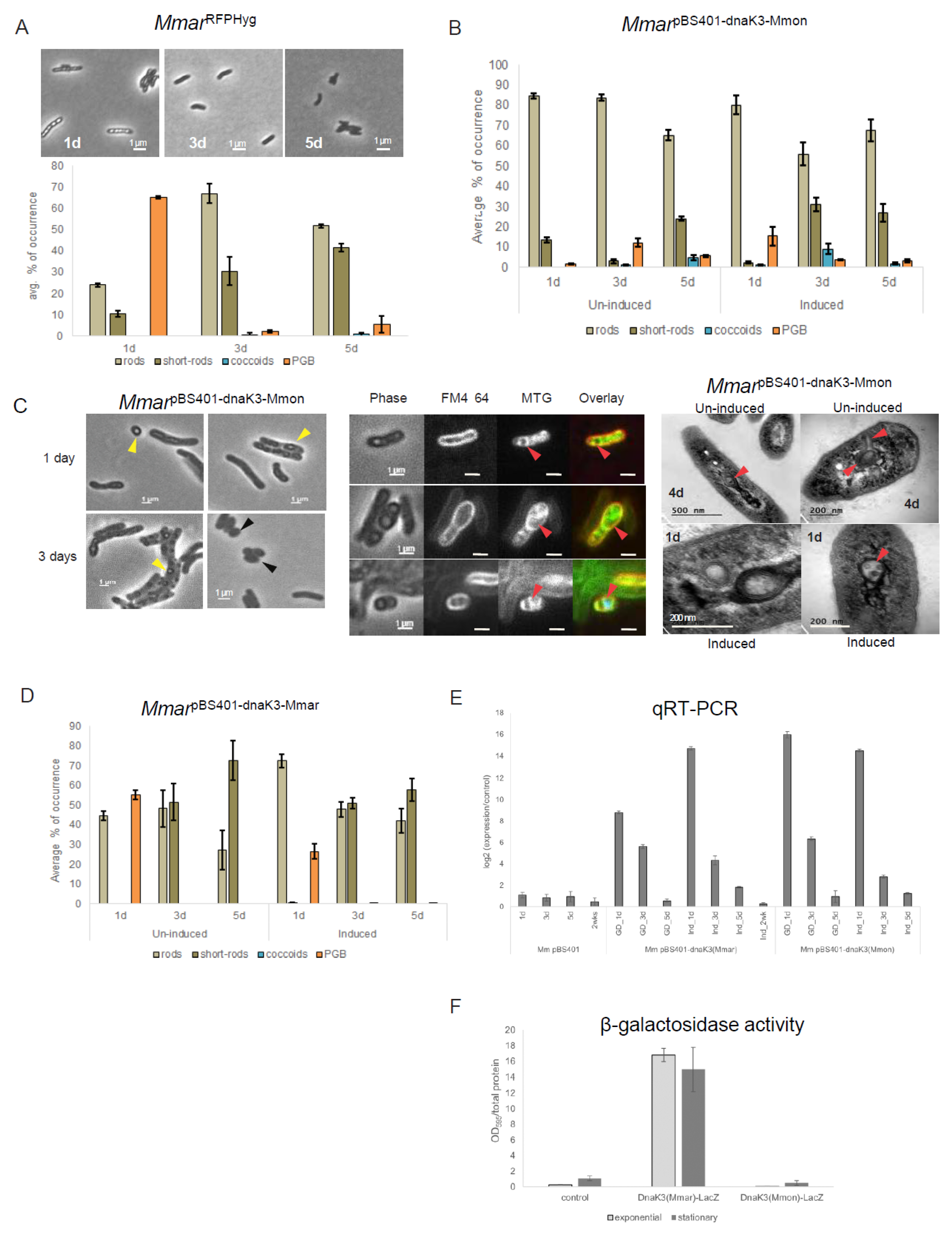 Microorganisms 13 00475 g006