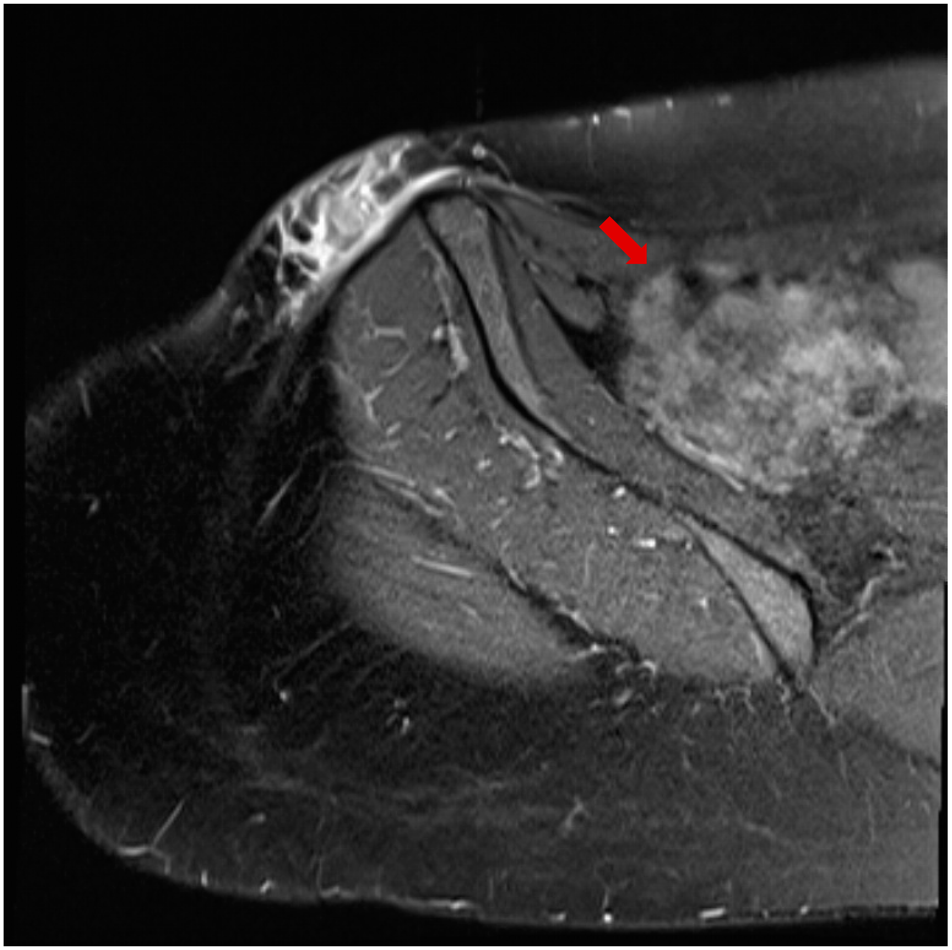 Microorganisms 13 00476 g001