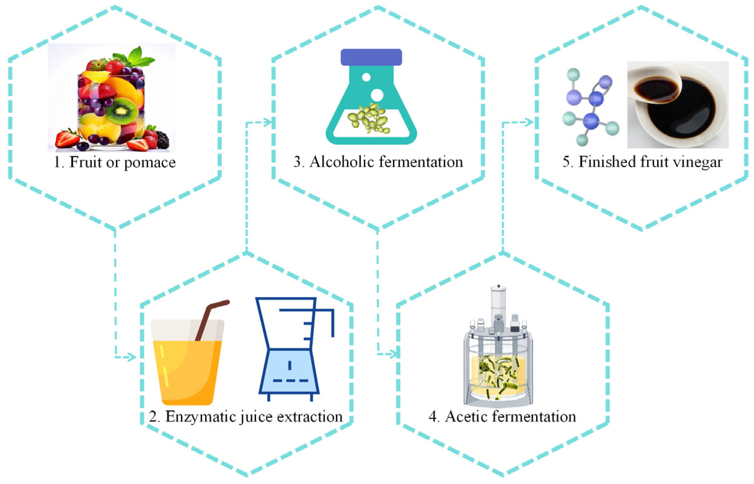 Microorganisms 13 00477 g001