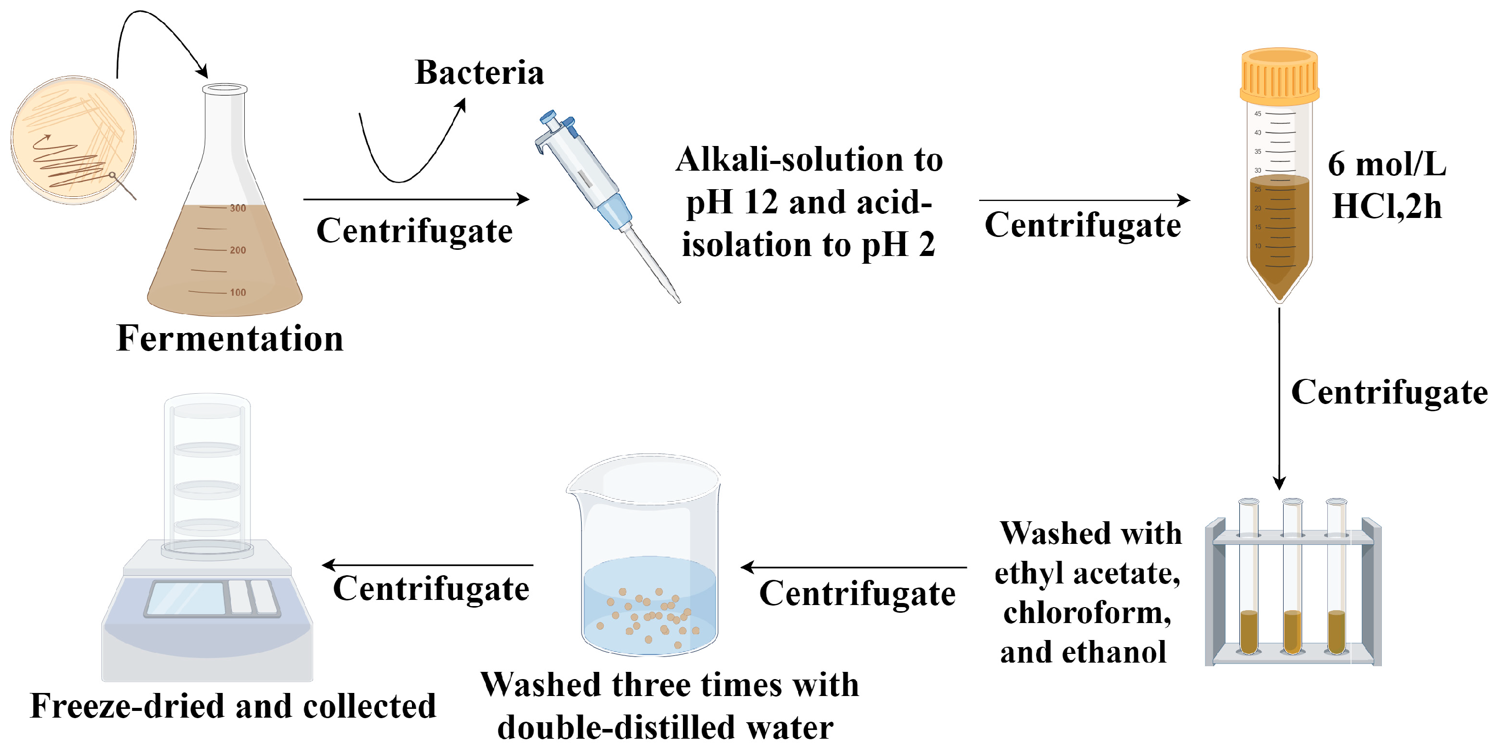Microorganisms 13 00480 g001