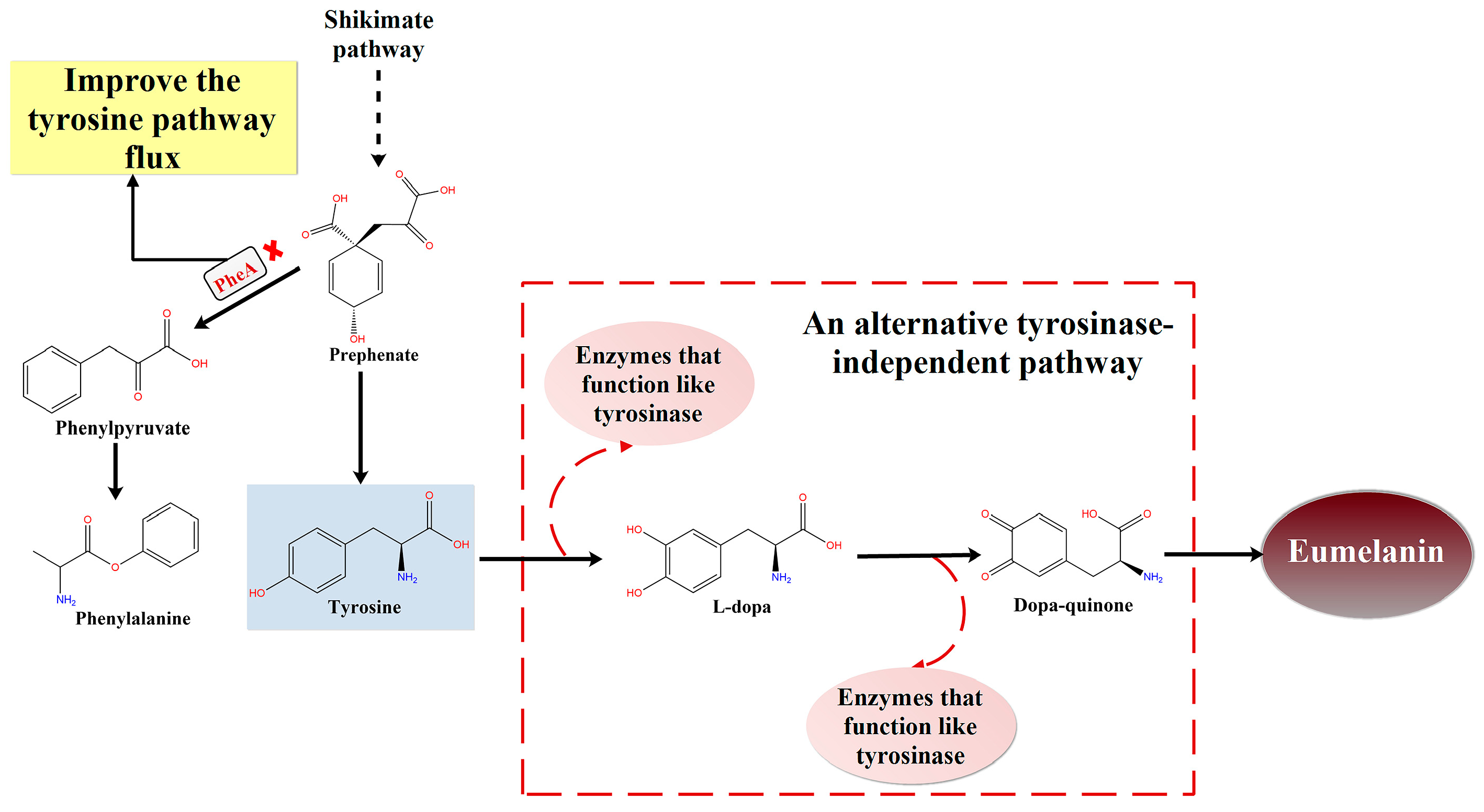 Microorganisms 13 00480 g008