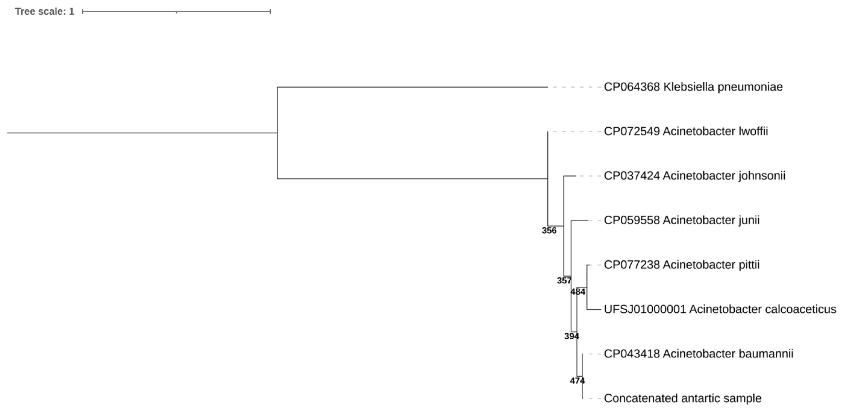 Microorganisms 13 00482 g002 Microorganisms 13 00482 g002