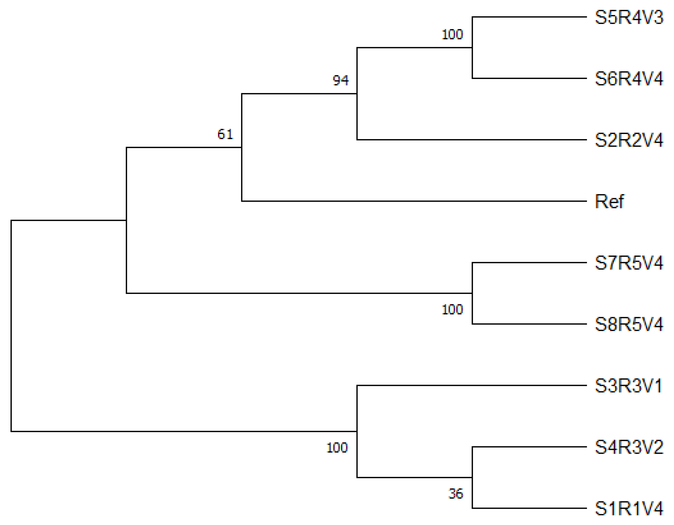 Microorganisms 13 00483 g002