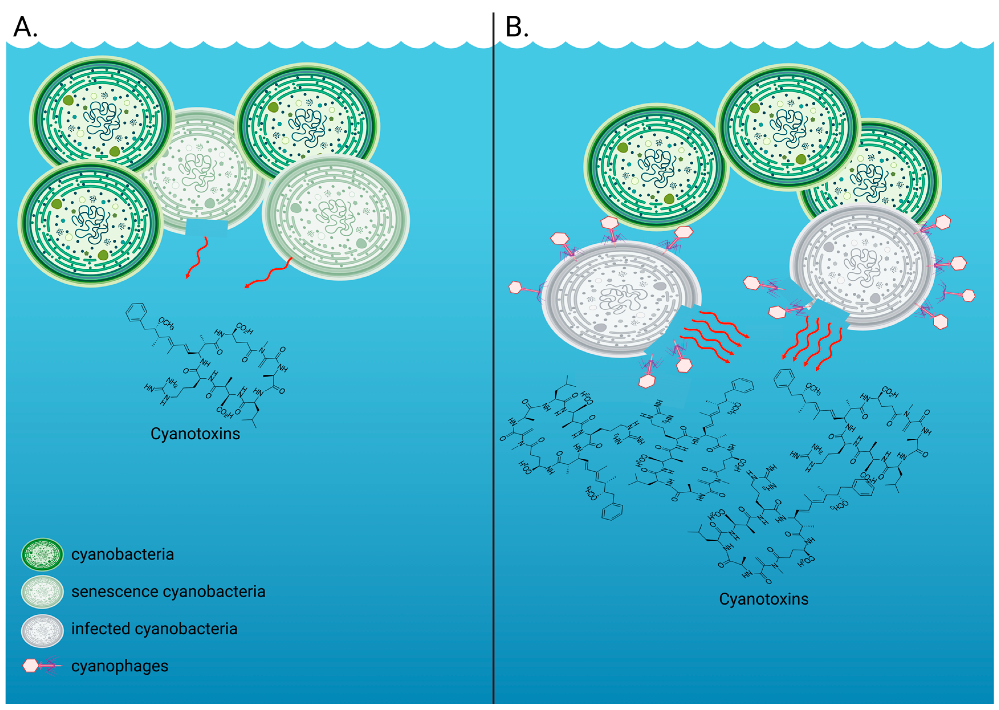 Microorganisms 13 00486 g001 Microorganisms 13 00486 g001