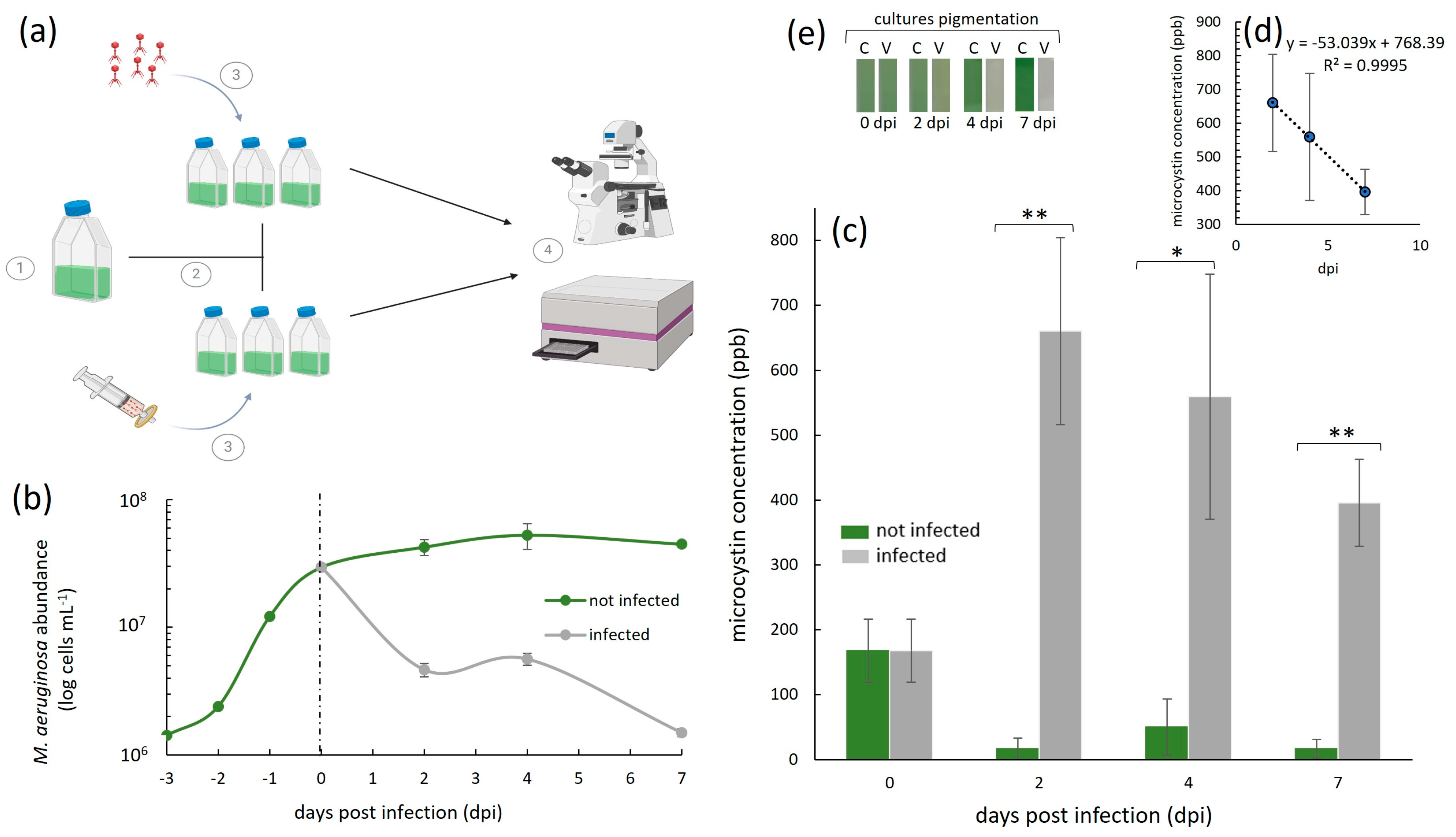 Microorganisms 13 00486 g002 Microorganisms 13 00486 g002