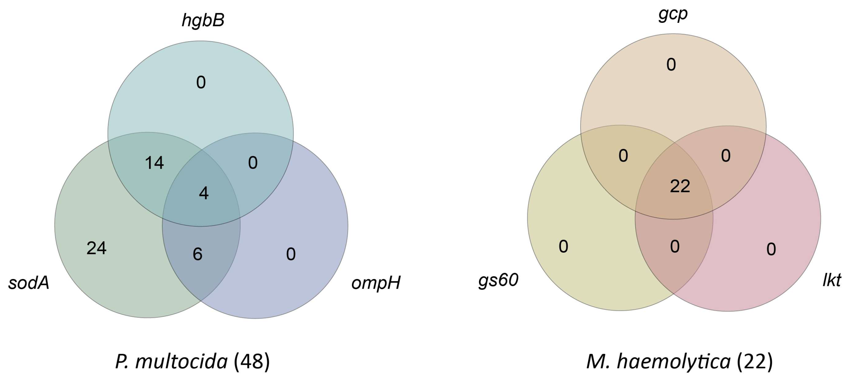 Microorganisms 13 00491 g003