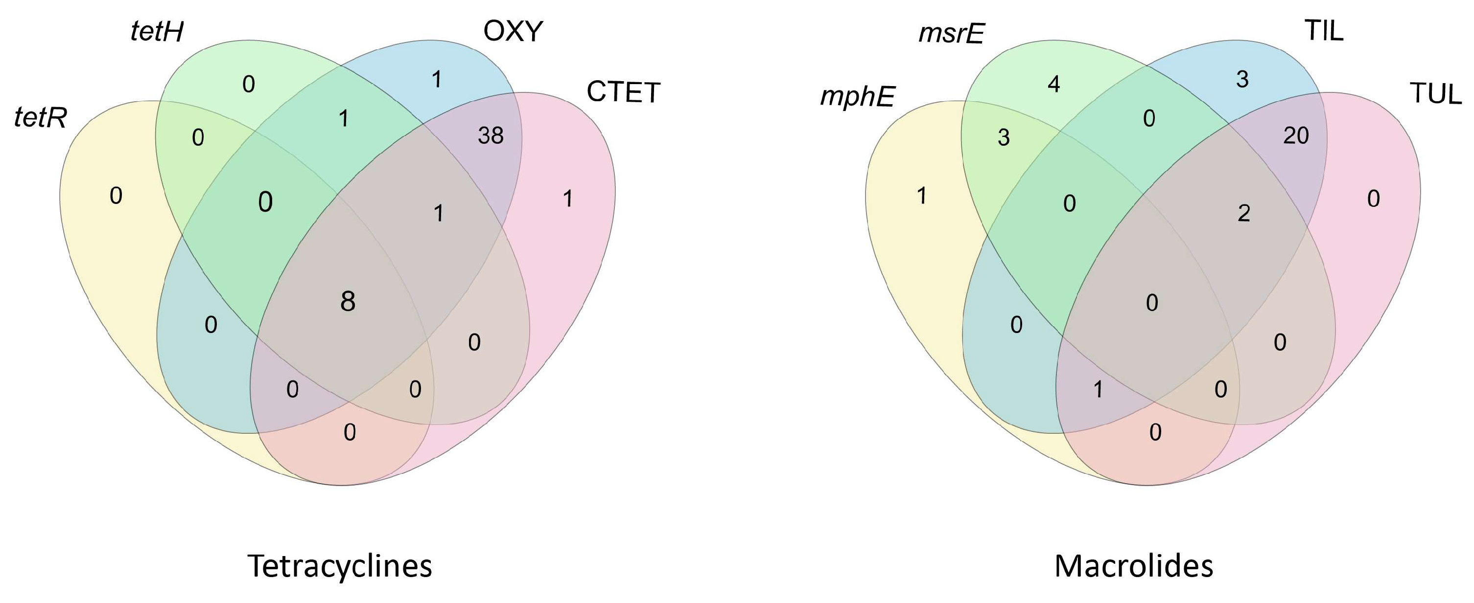 Microorganisms 13 00491 g004