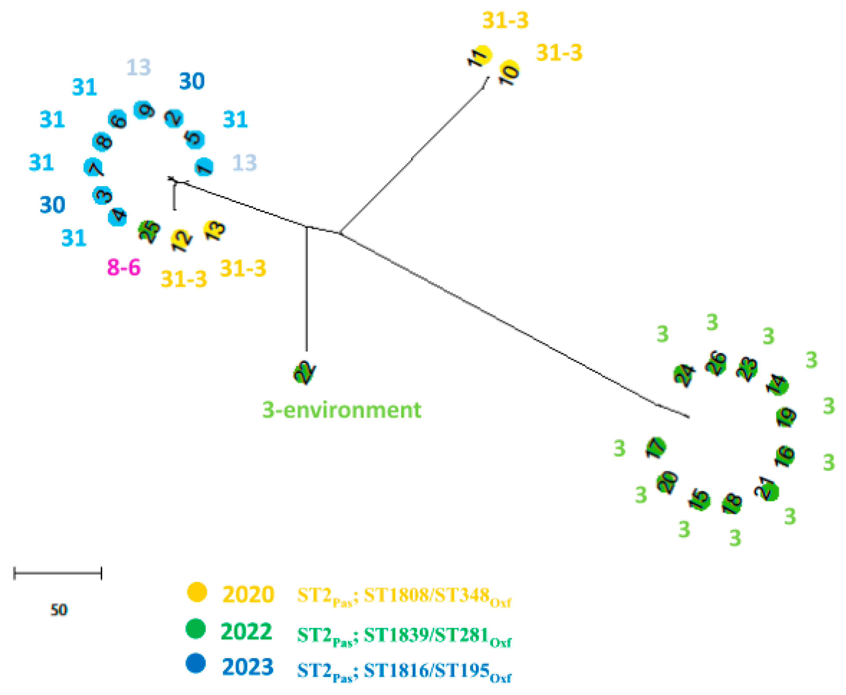 Microorganisms 13 00493 g003
