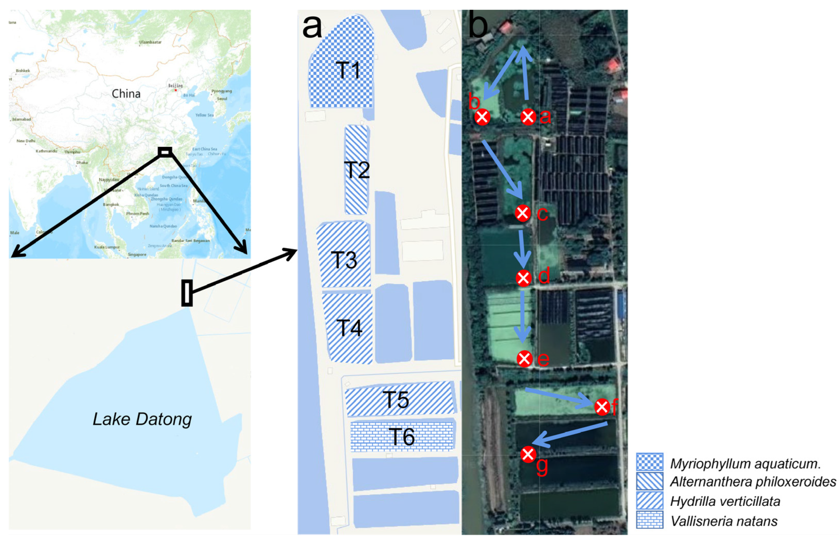 Microorganisms 13 00494 g001