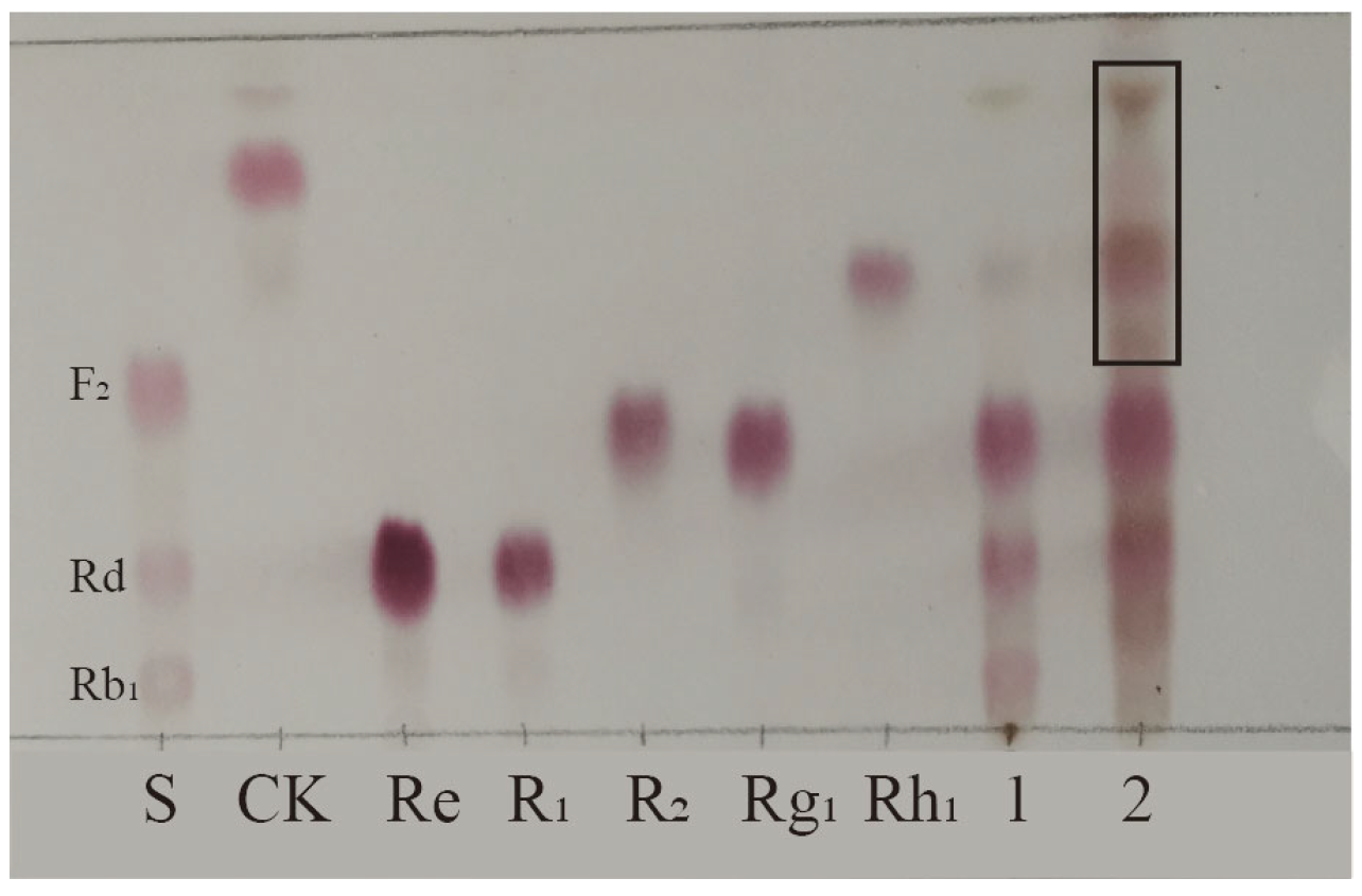 Microorganisms 13 00495 g002