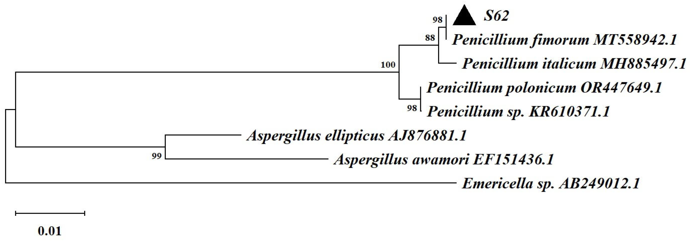 Microorganisms 13 00495 g003