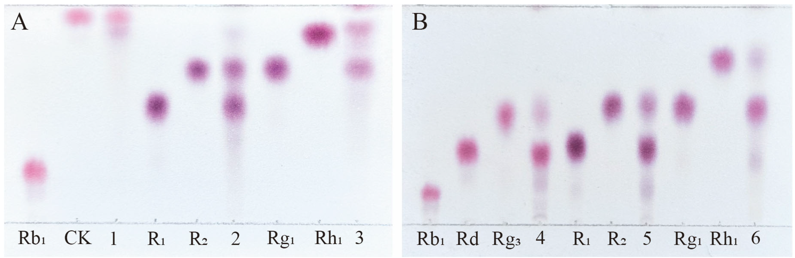 Microorganisms 13 00495 g006