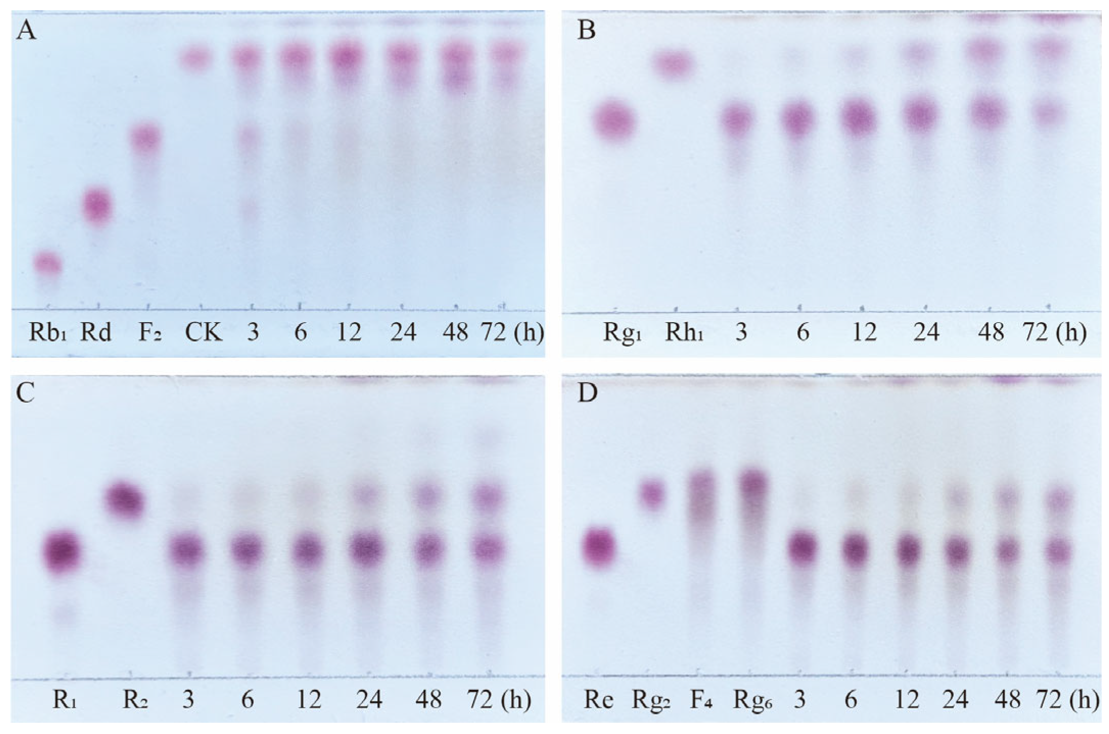 Microorganisms 13 00495 g009