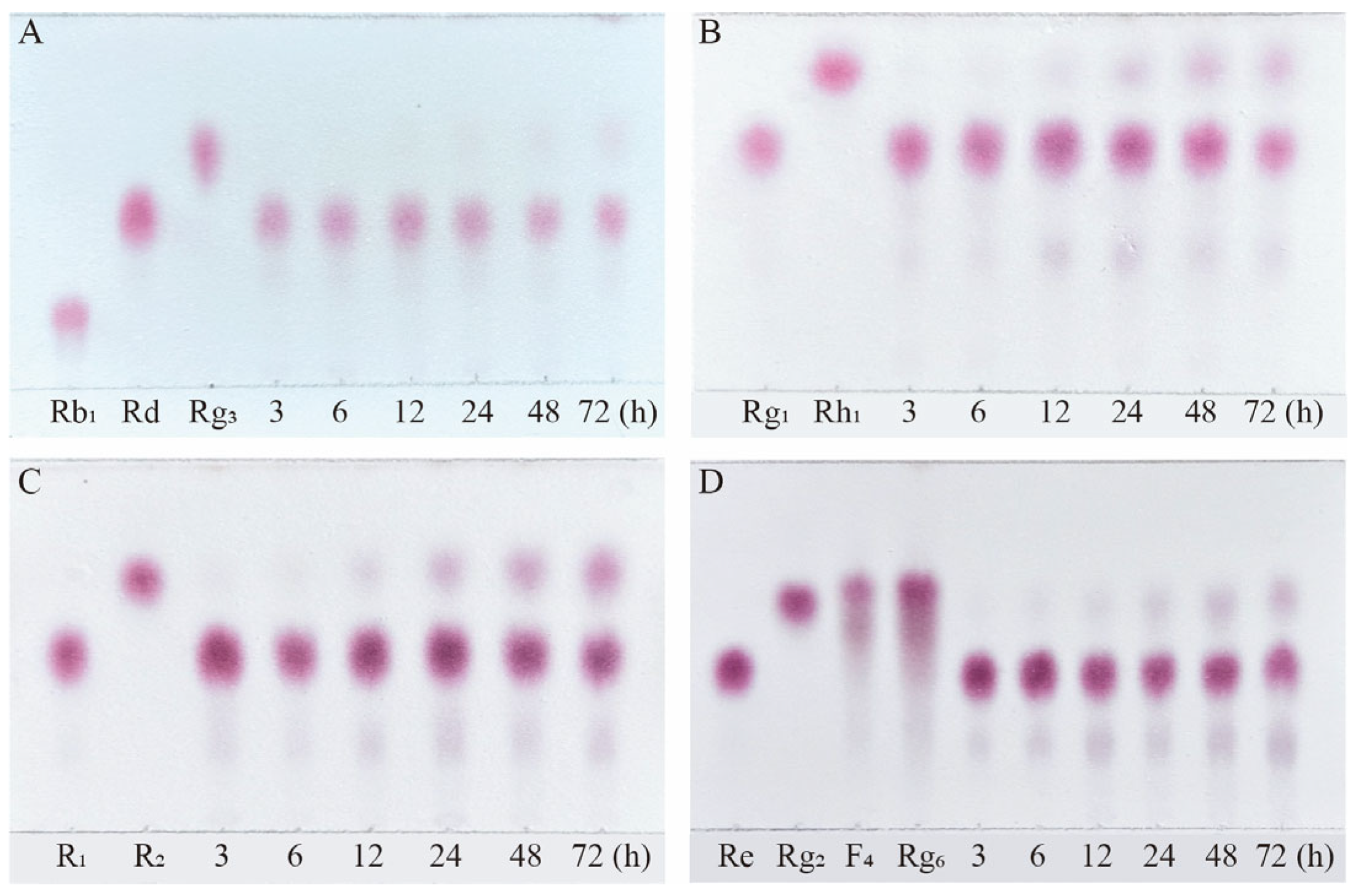 Microorganisms 13 00495 g010