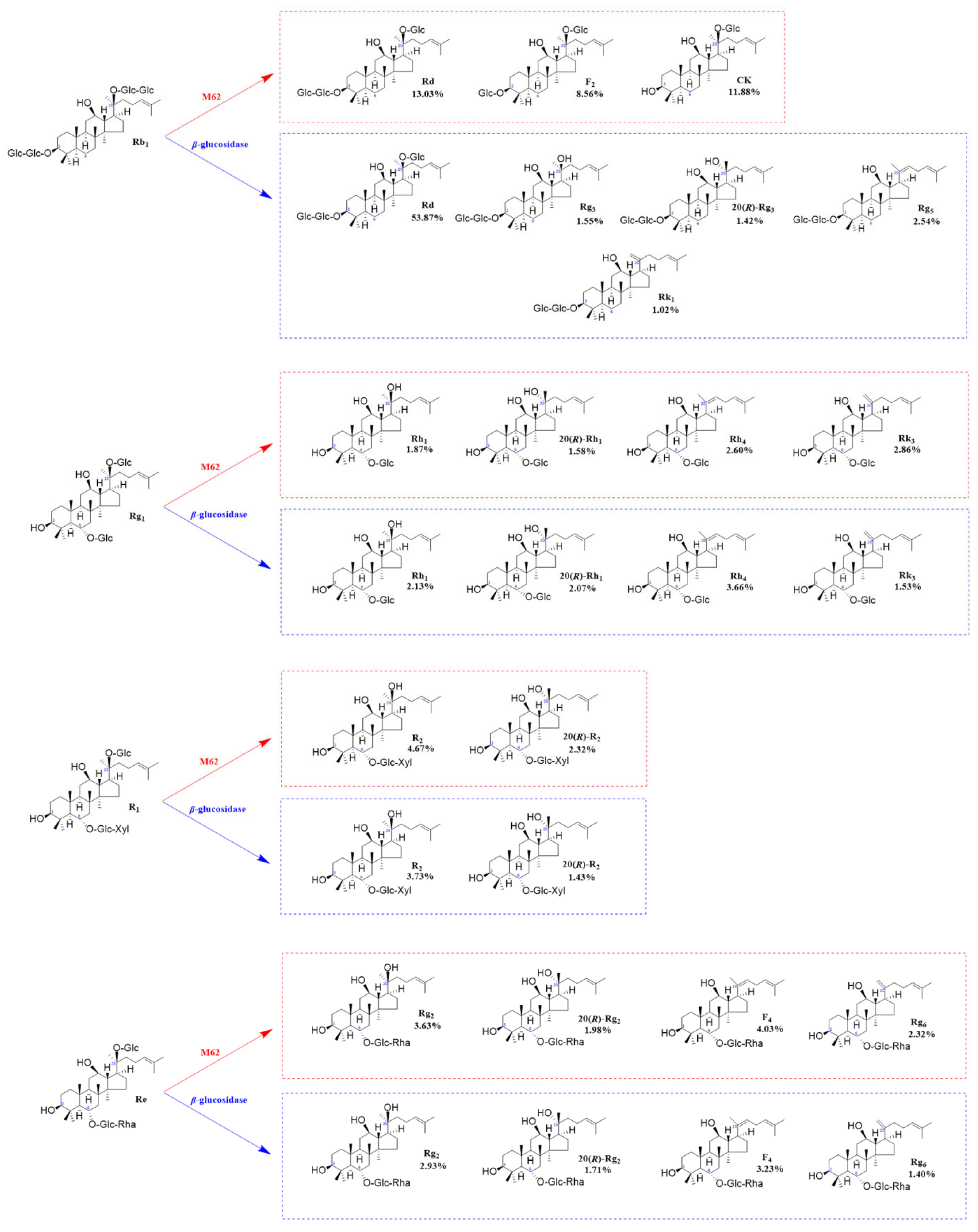 Microorganisms 13 00495 g011