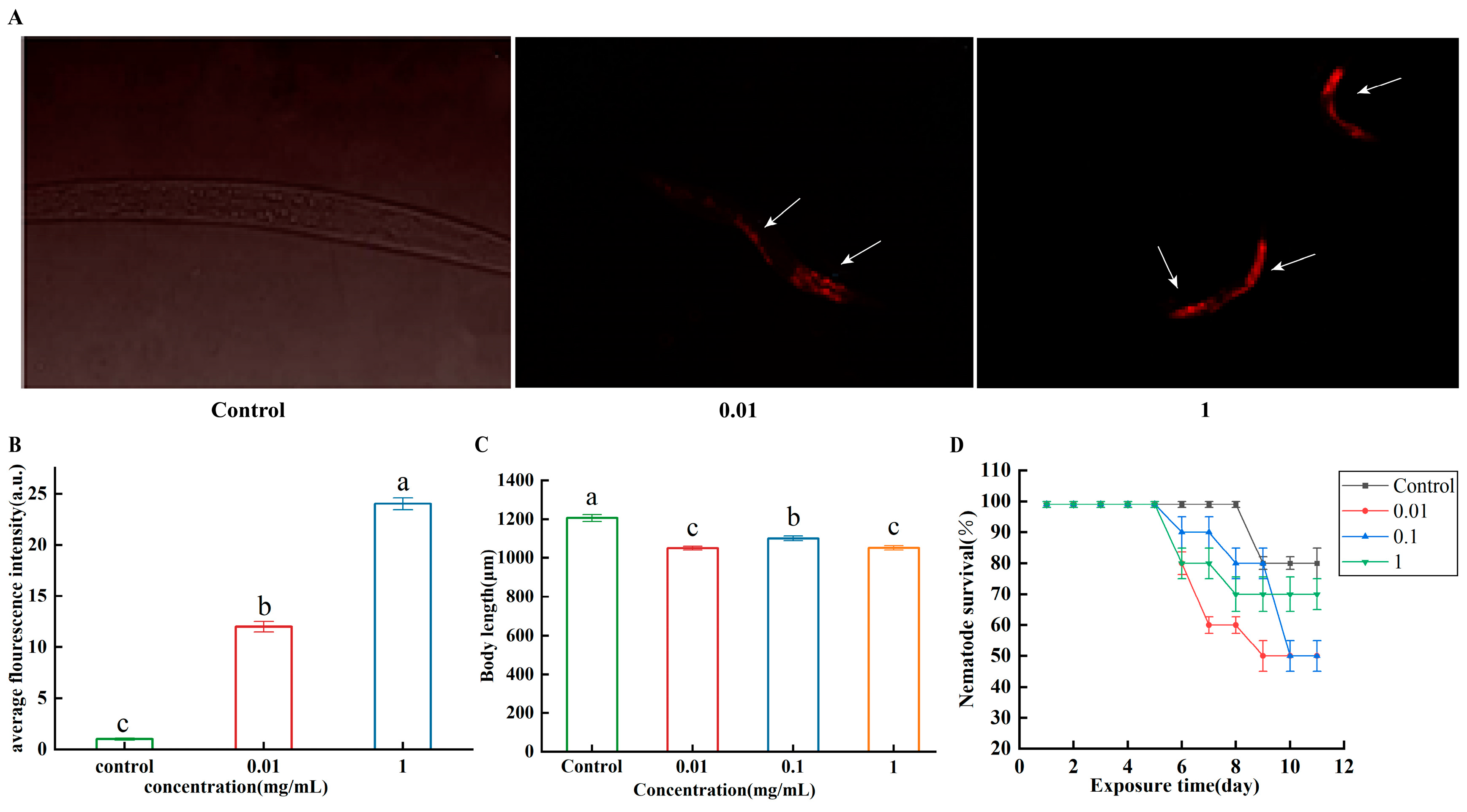 Microorganisms 13 00497 g001