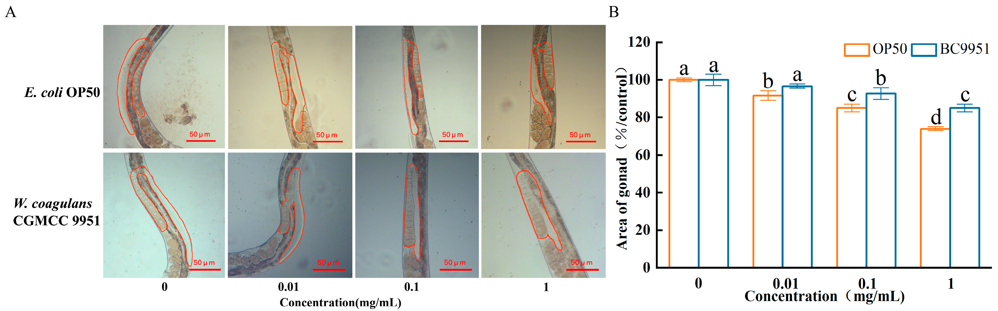 Microorganisms 13 00497 g004