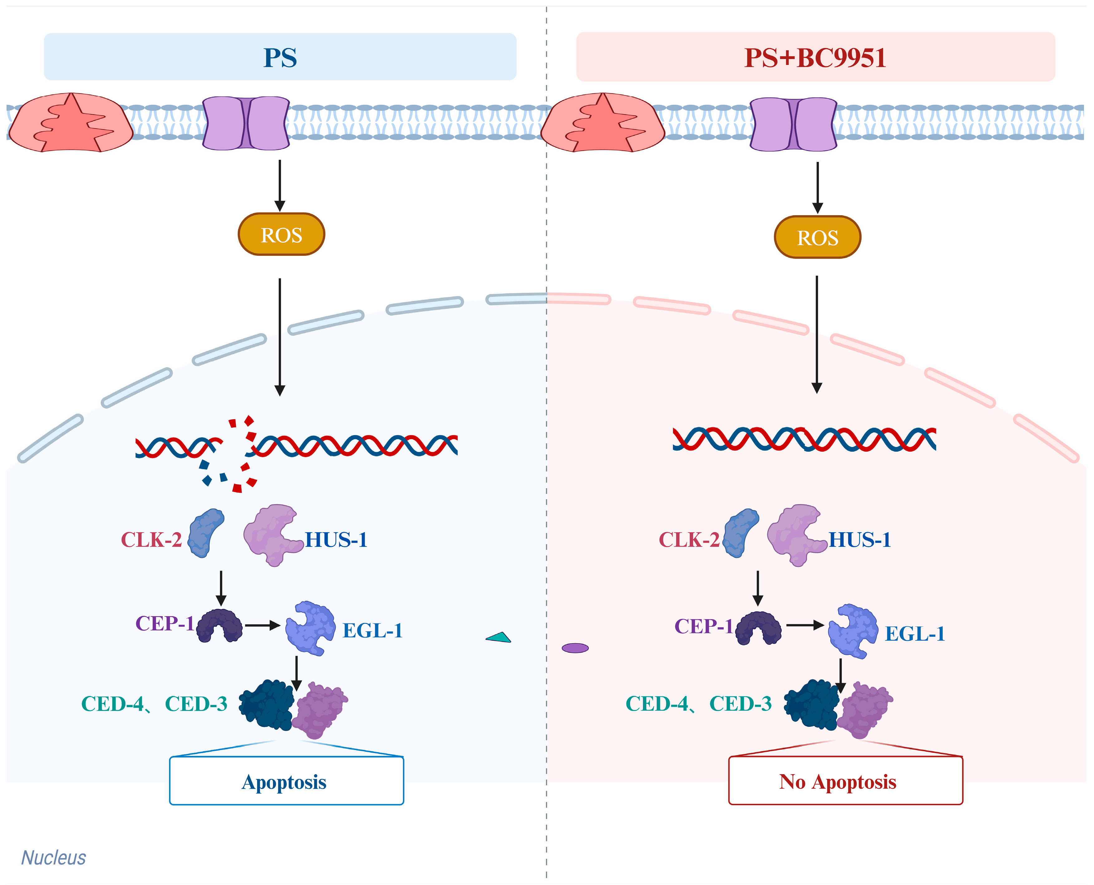 Microorganisms 13 00497 g008