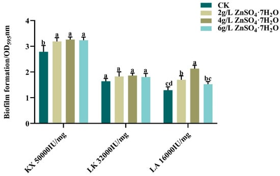 Microorganisms 13 00499 g0a4