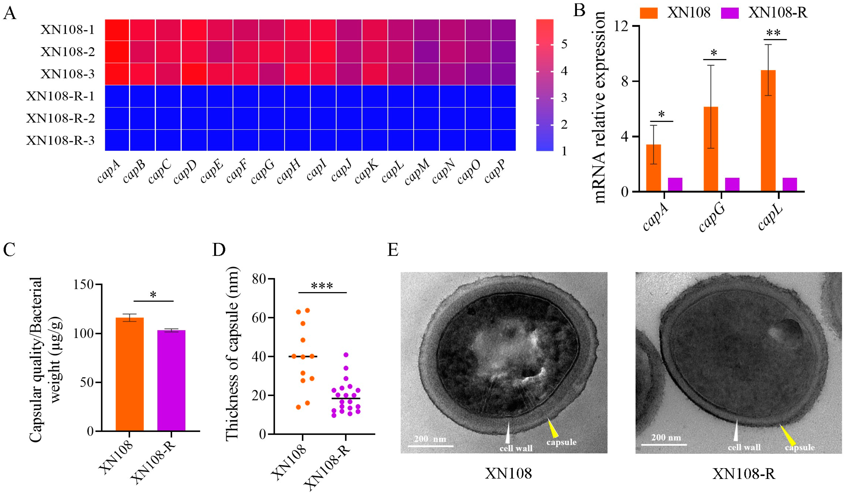 Microorganisms 13 00502 g001
