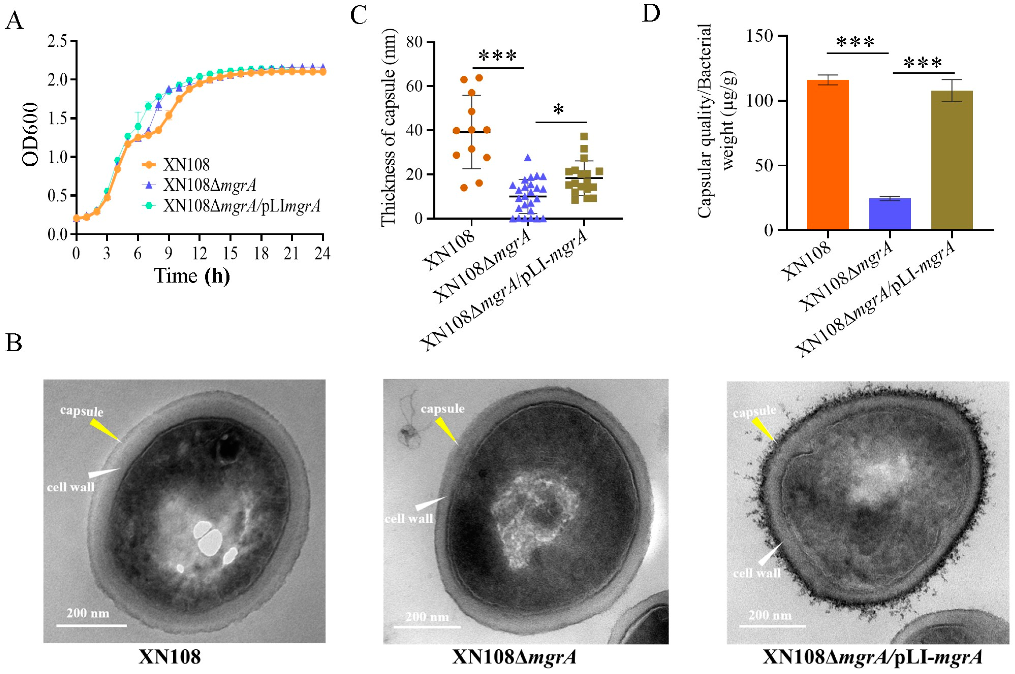 Microorganisms 13 00502 g004