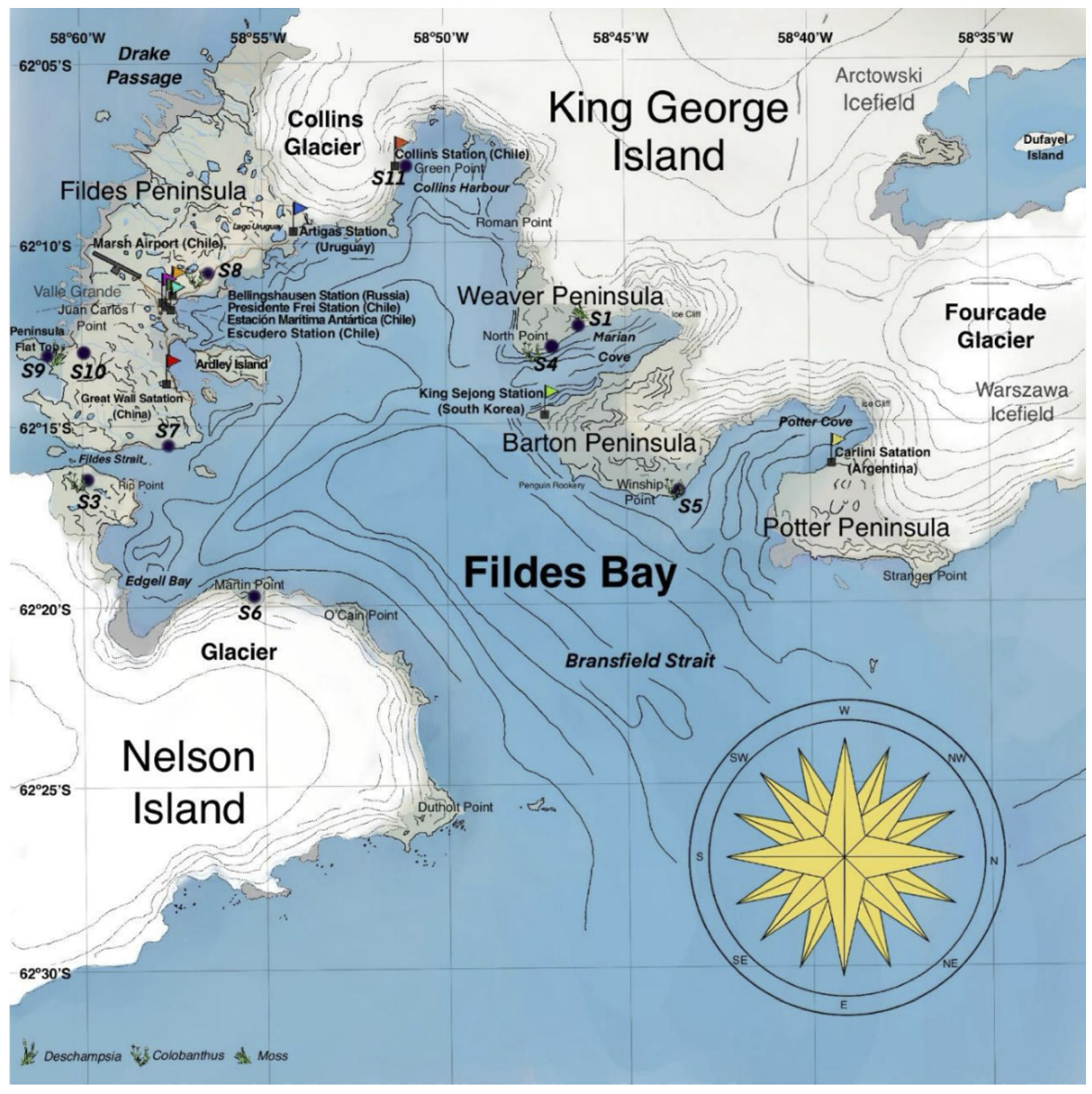 Microorganisms 13 00504 g001