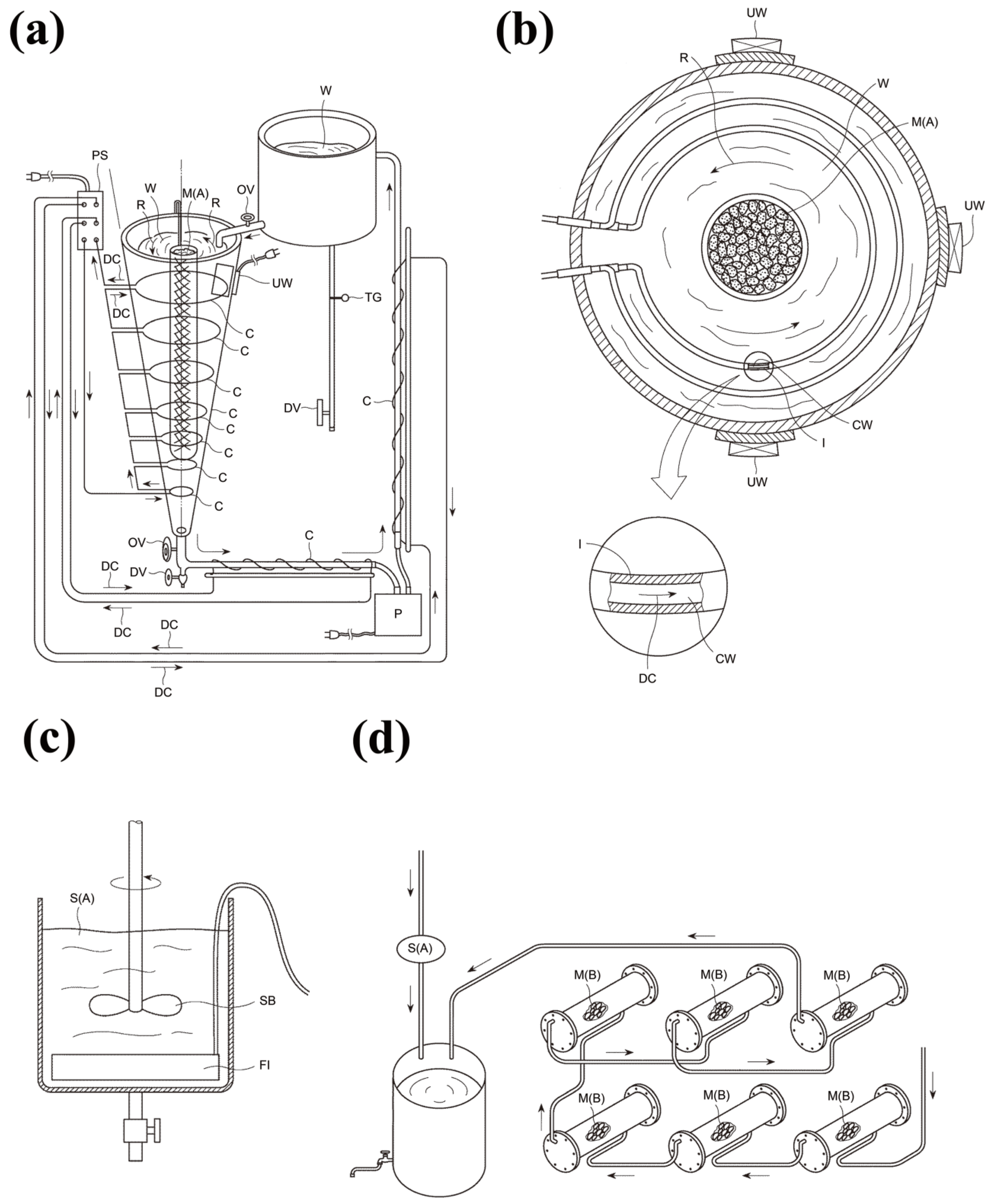 Microorganisms 13 00507 g001