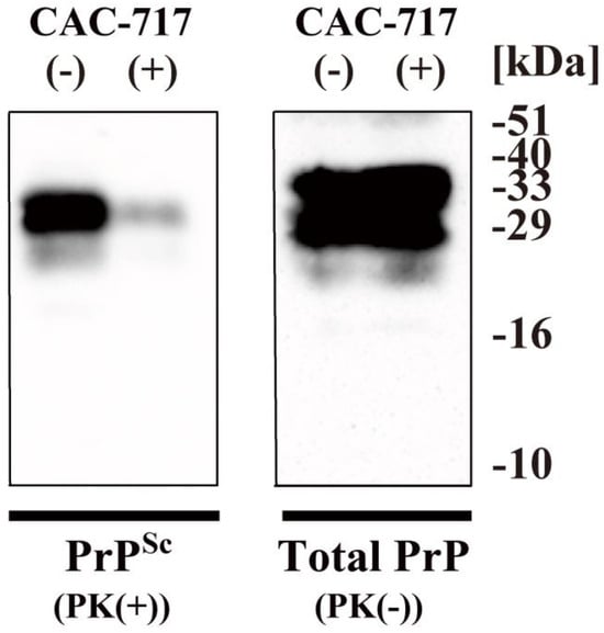 Microorganisms 13 00507 g003