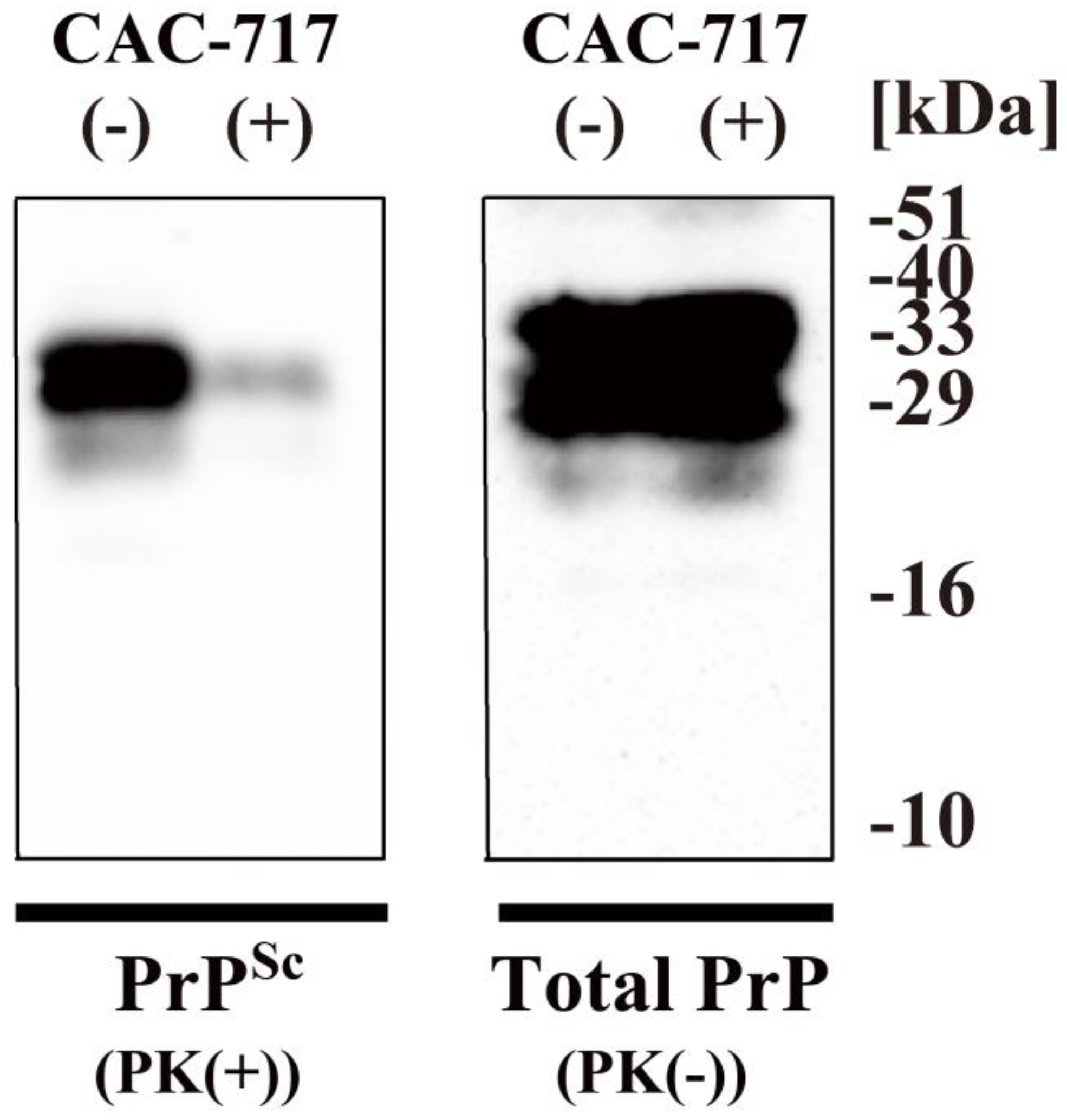 Microorganisms 13 00507 g003