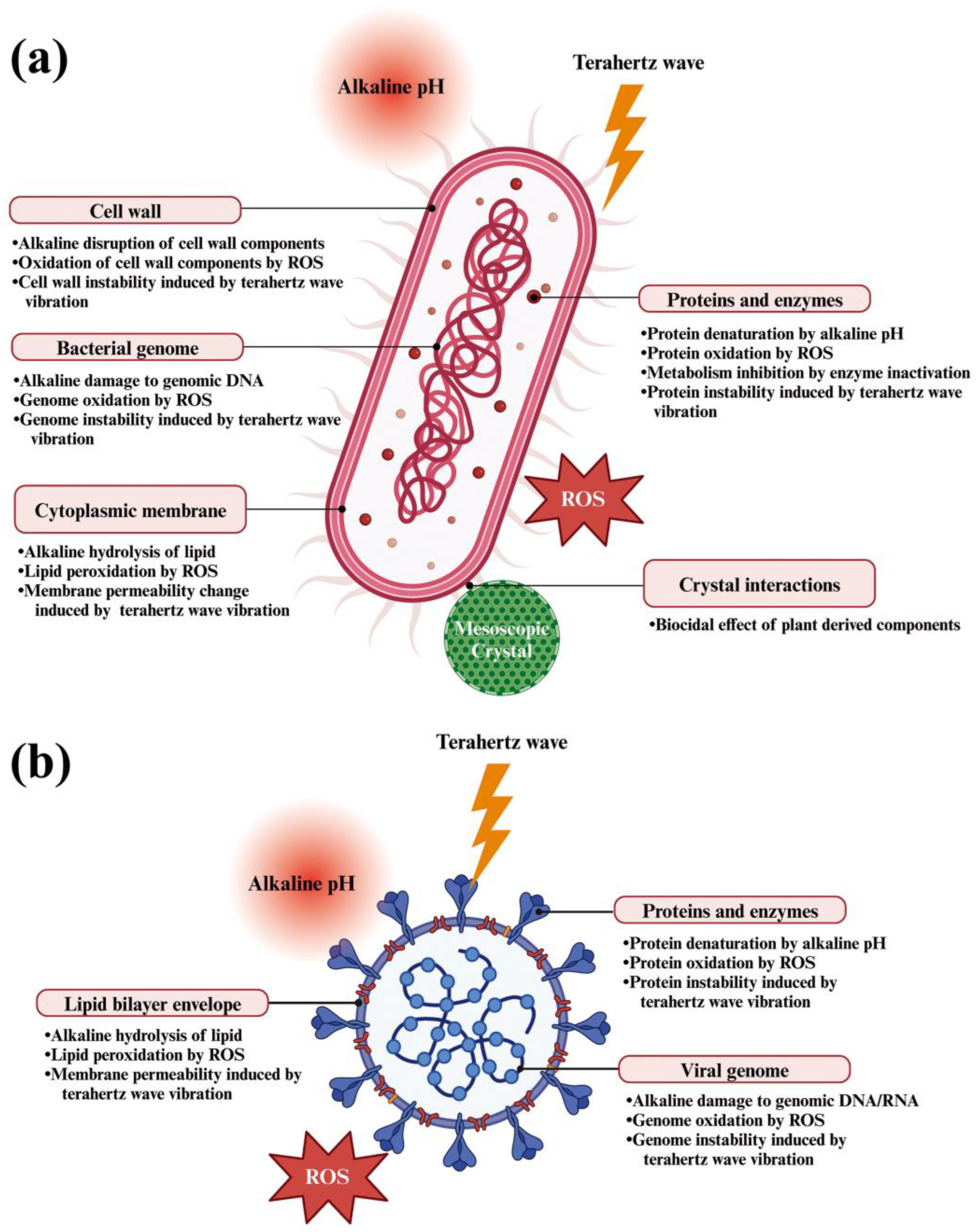 Microorganisms 13 00507 g004