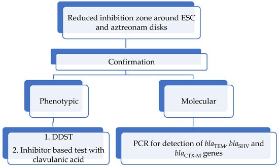 Microorganisms 13 00508 g005