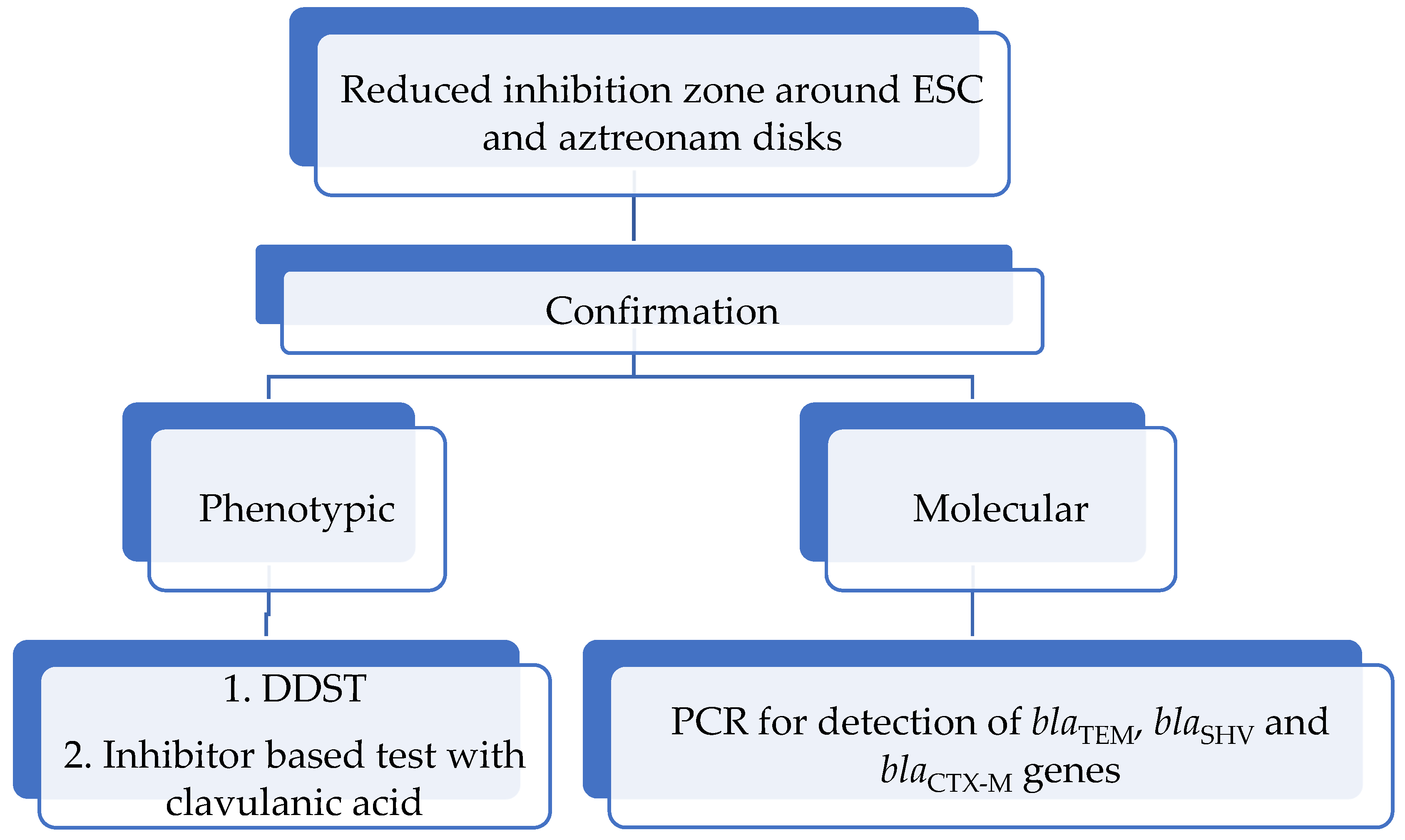 Microorganisms 13 00508 g005