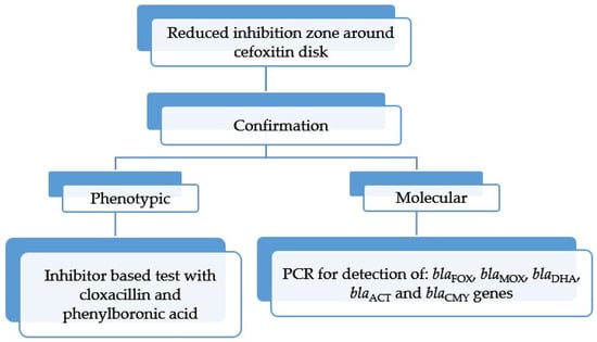 Microorganisms 13 00508 g006