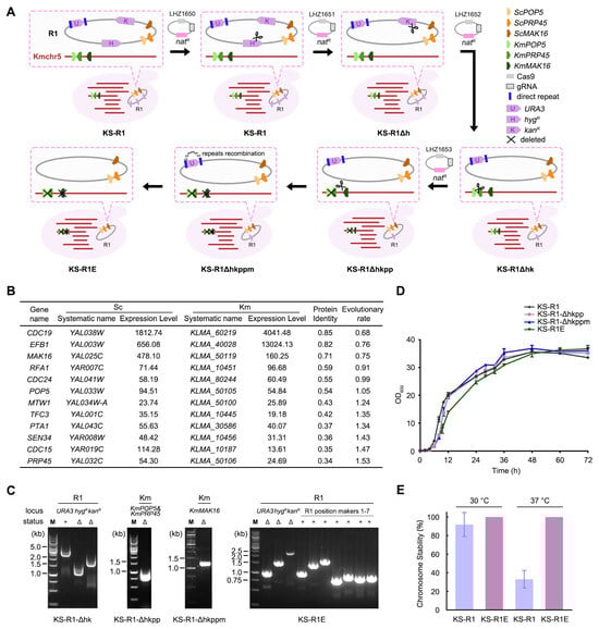 Microorganisms 13 00509 g001