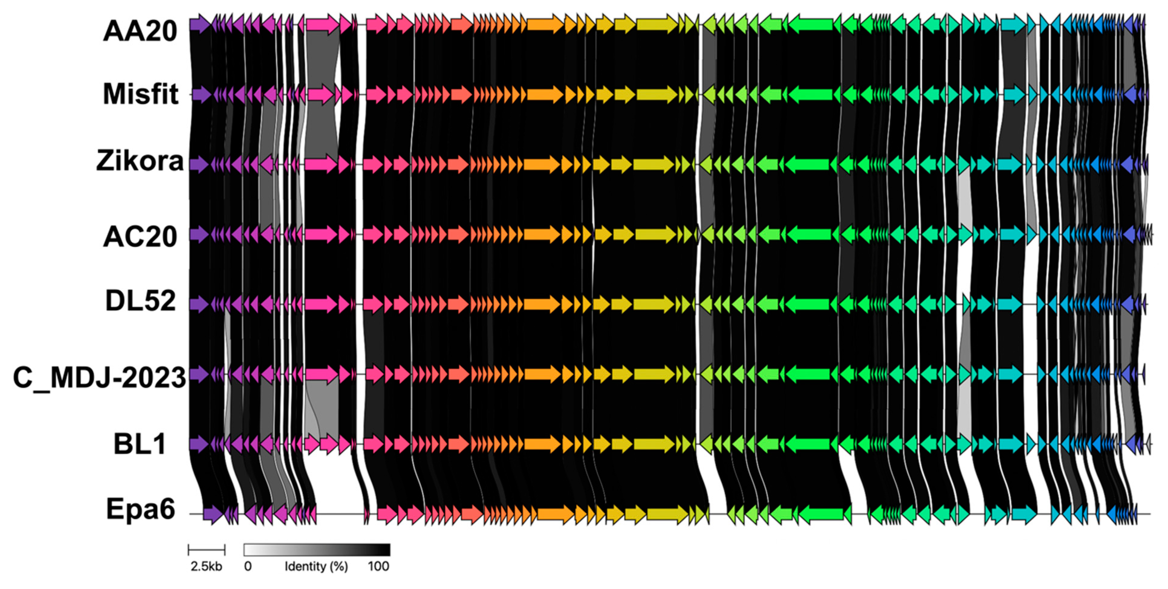 Microorganisms 13 00511 g009