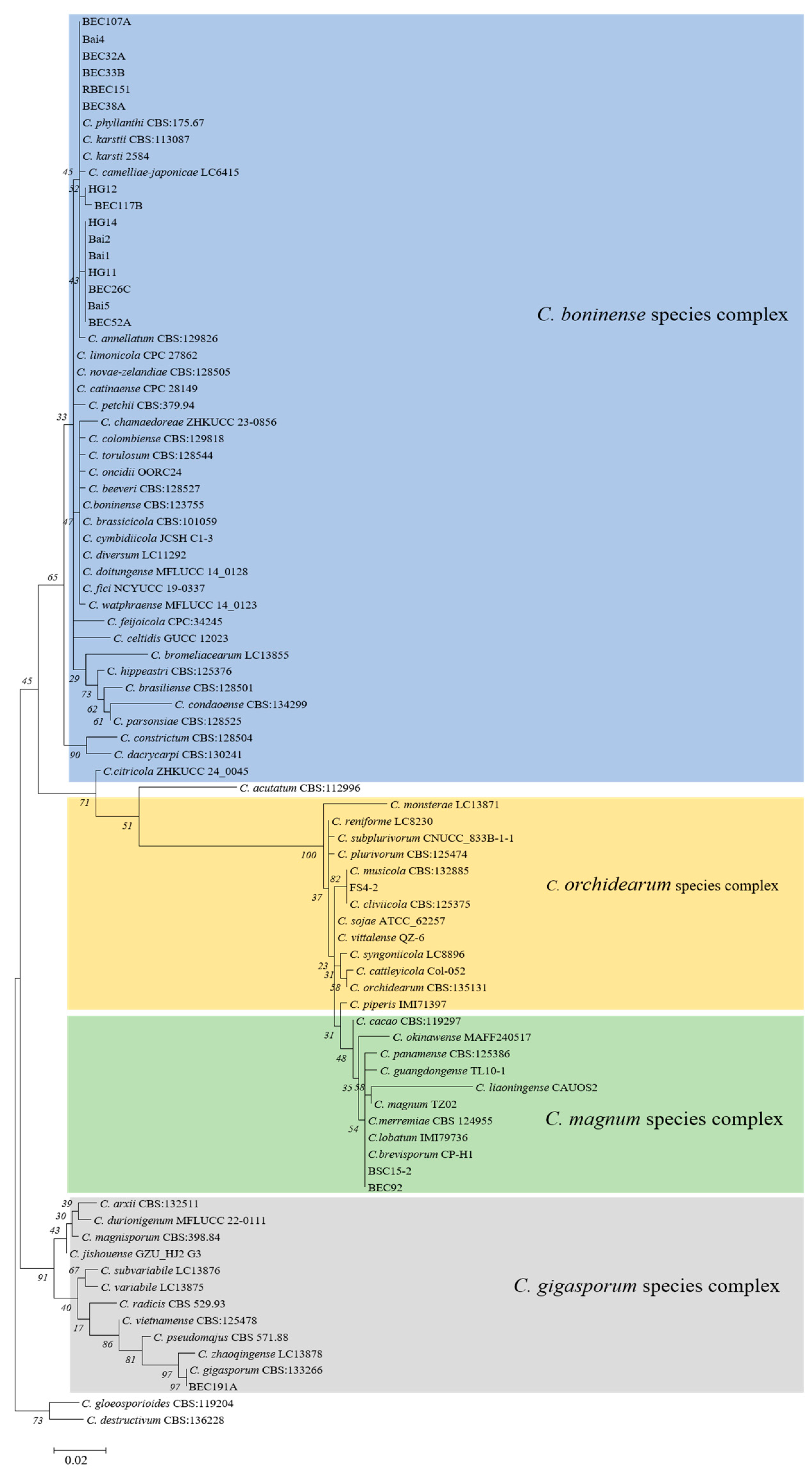 Microorganisms 13 00512 g002 Microorganisms 13 00512 g002
