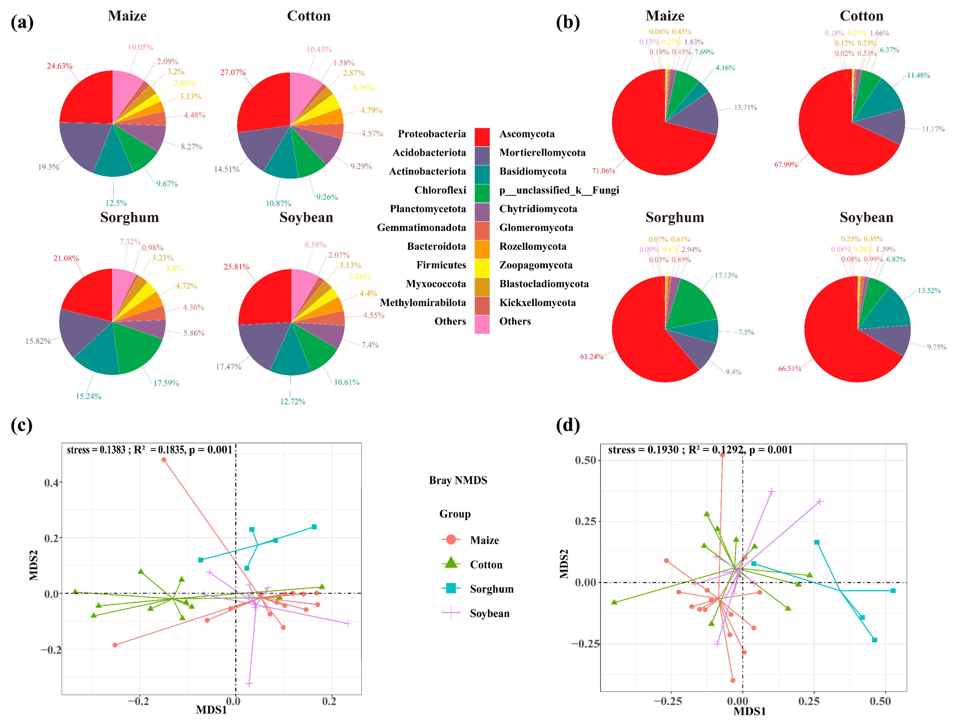 Microorganisms 13 00513 g003