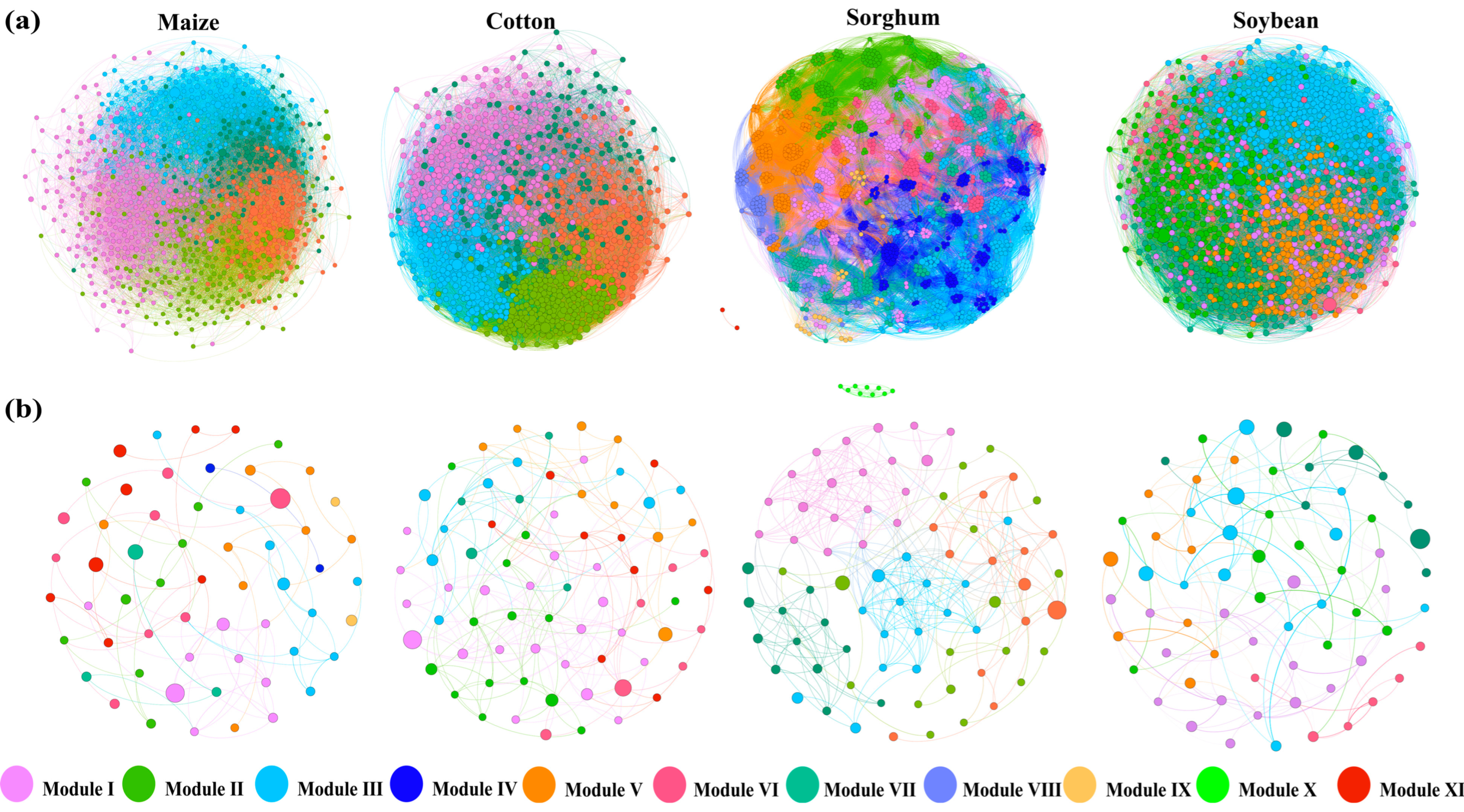 Microorganisms 13 00513 g004
